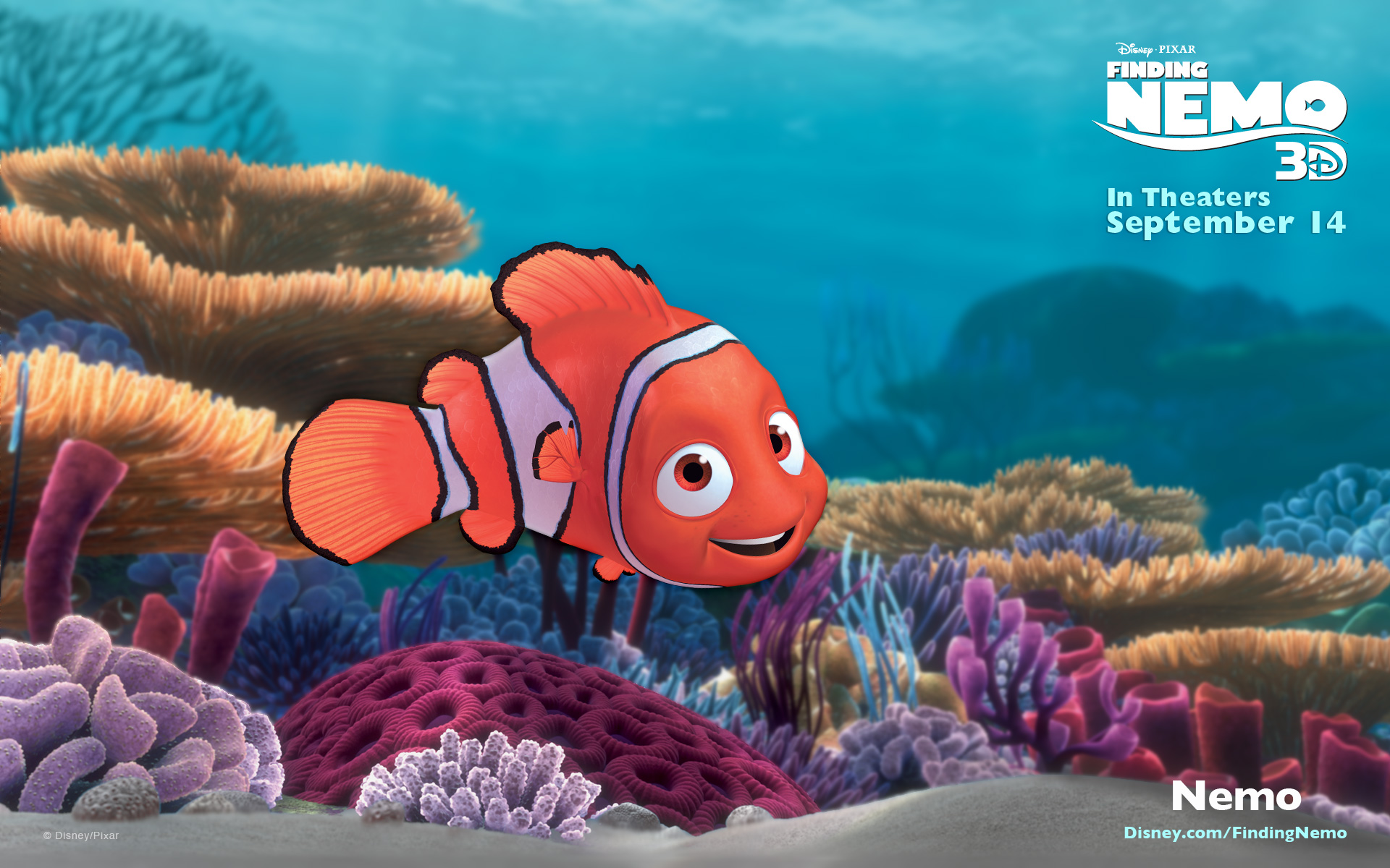 Finding Nemo Widescreen Wallpaper - Finding Nemo Wallpaper 3d , HD Wallpaper & Backgrounds