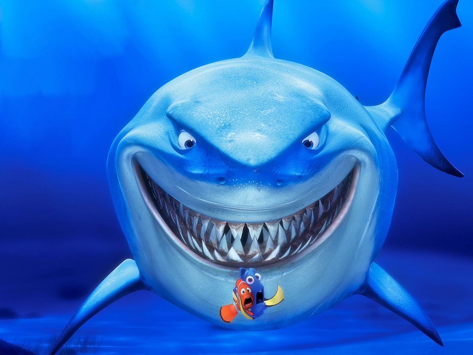 More Cartoons Desktop Wallpapers - Bruce Finding Nemo Hd , HD Wallpaper & Backgrounds