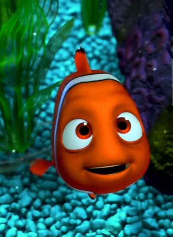 Cute Disney Nemo Wallpapers Free Download - Finding Nemo , HD Wallpaper & Backgrounds