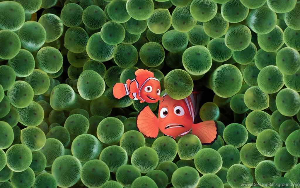 Finding Nemo Wallpapers Hd Widescreen Attachment 4128 - Clownfish Wallpaper Iphone X , HD Wallpaper & Backgrounds