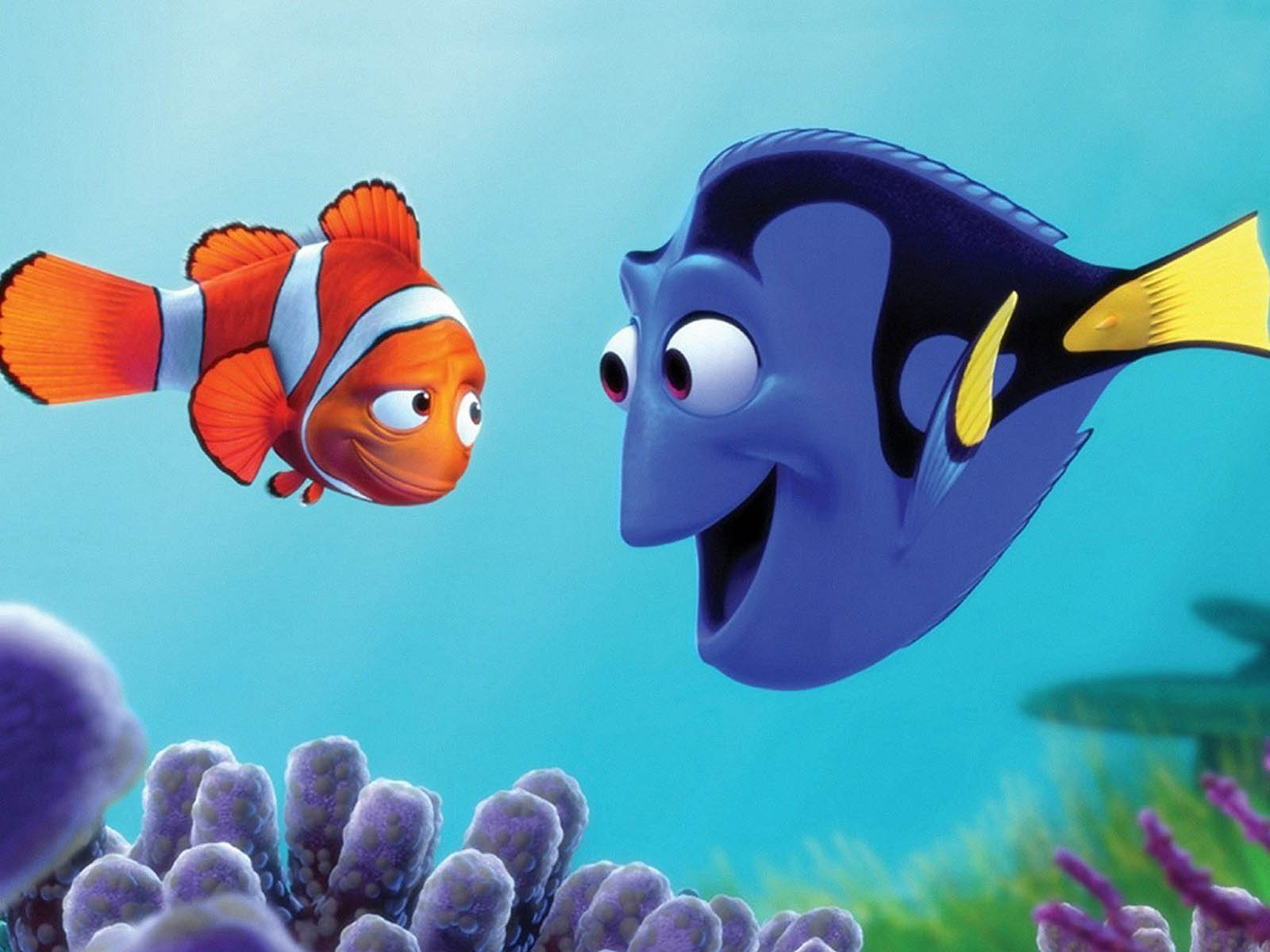 Finding Nemo Wallpapers, Finding Nemo Desktop Wallpapers, - Finding Nemo , HD Wallpaper & Backgrounds