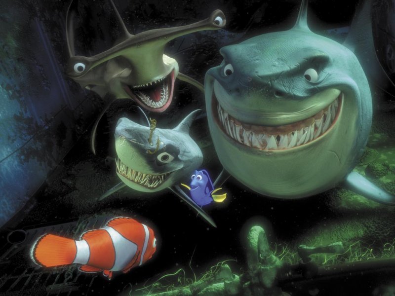 Finding Nemo Sharks Fish Are Friends , HD Wallpaper & Backgrounds
