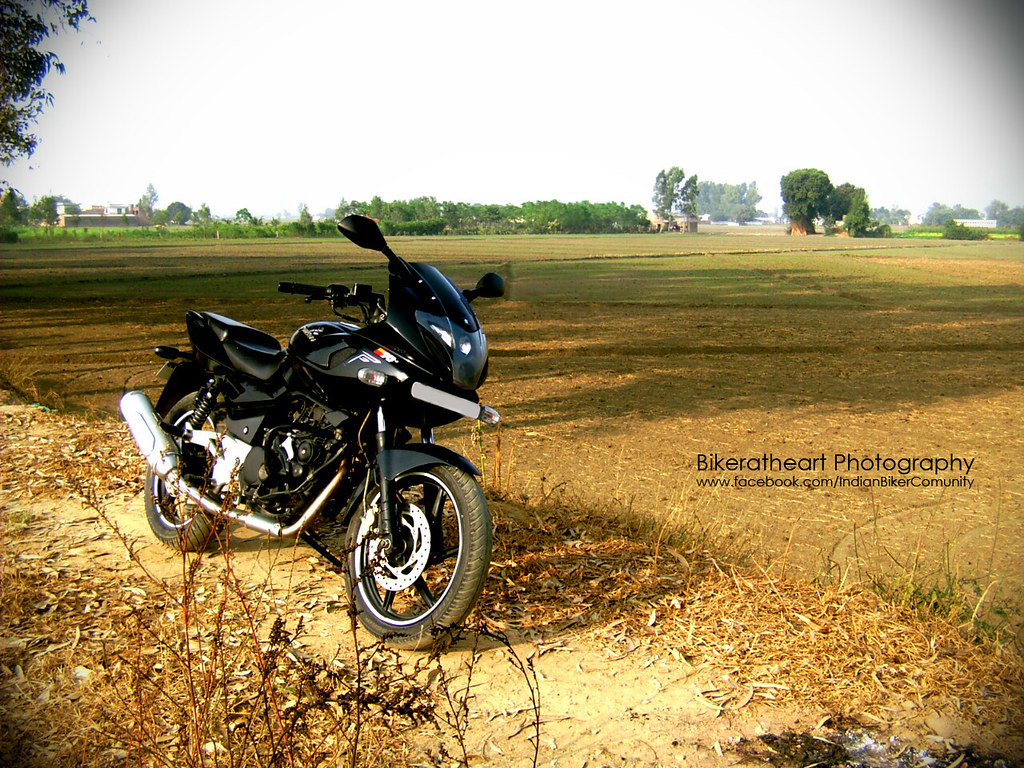 Bajaj Pulsar 220 Wallpaper 17 - Bajaj Pulsar 220f Black , HD Wallpaper & Backgrounds