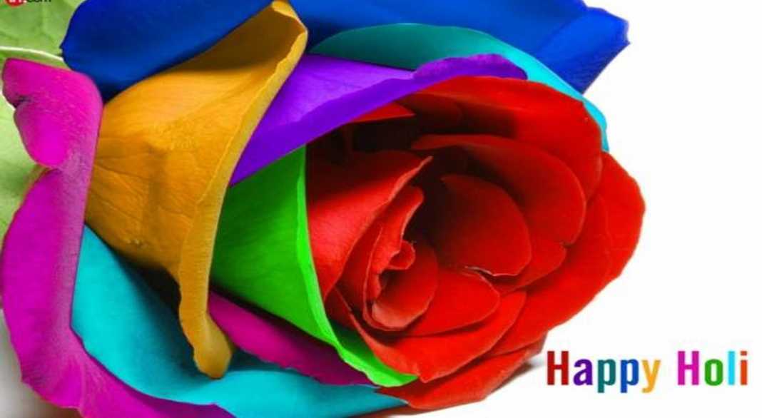 100 Happy Holi Images [hd] Wallpaper Pictures Photo - Happy Holi Janu , HD Wallpaper & Backgrounds