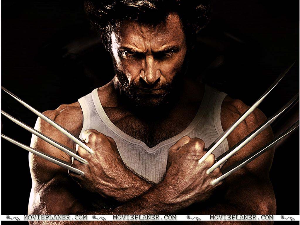 Wolverine Hugh Jackman Wallpaper Hd Images & Pictures - Hugh Jackman Wolverine Hd , HD Wallpaper & Backgrounds