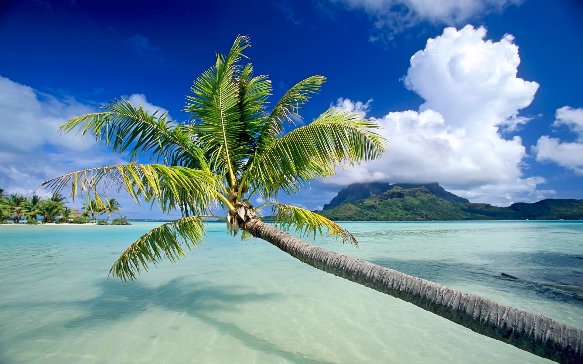 Tropical Beach Hd Wallpaper - Bora Bora , HD Wallpaper & Backgrounds
