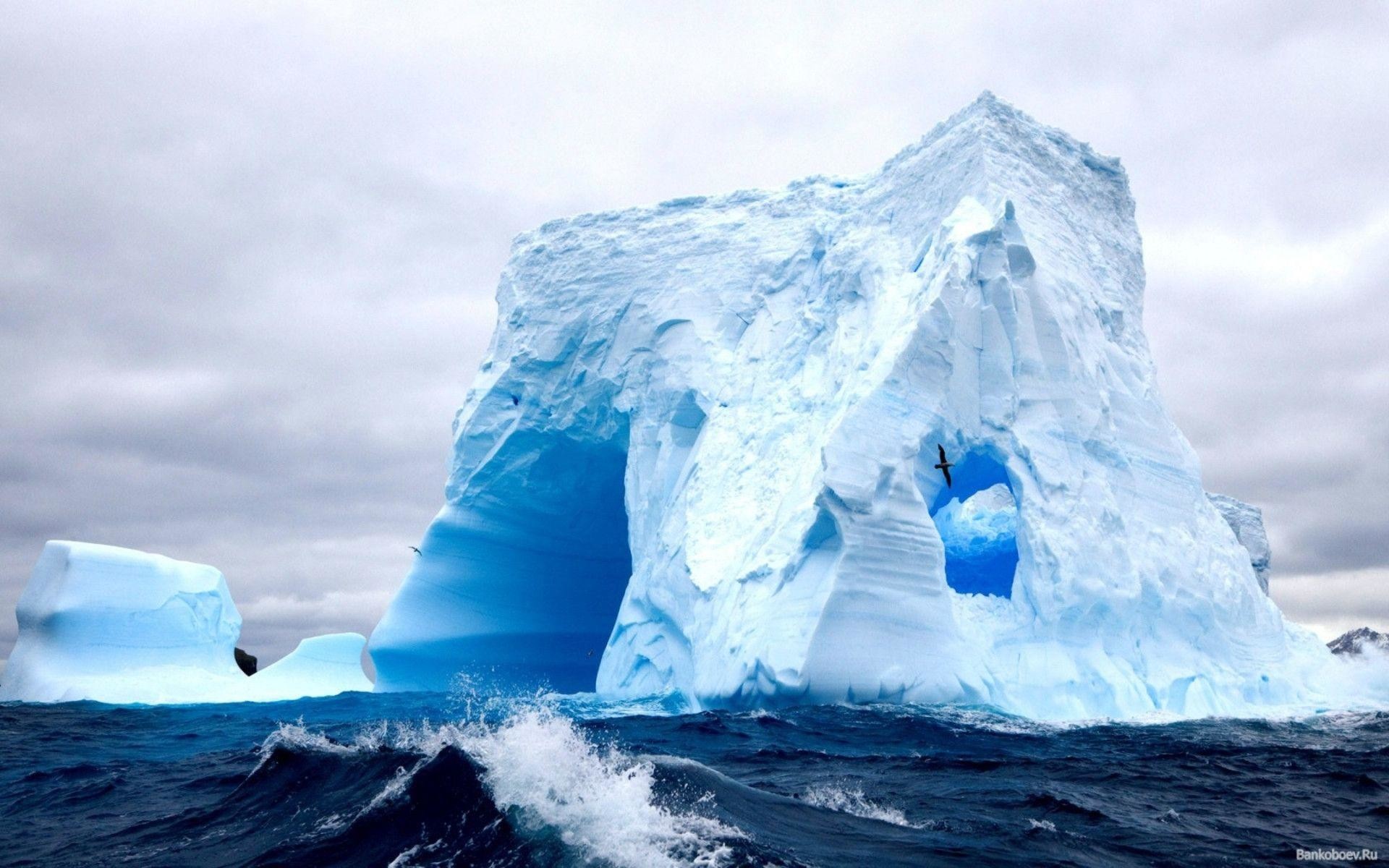 Antarctica Hd , HD Wallpaper & Backgrounds