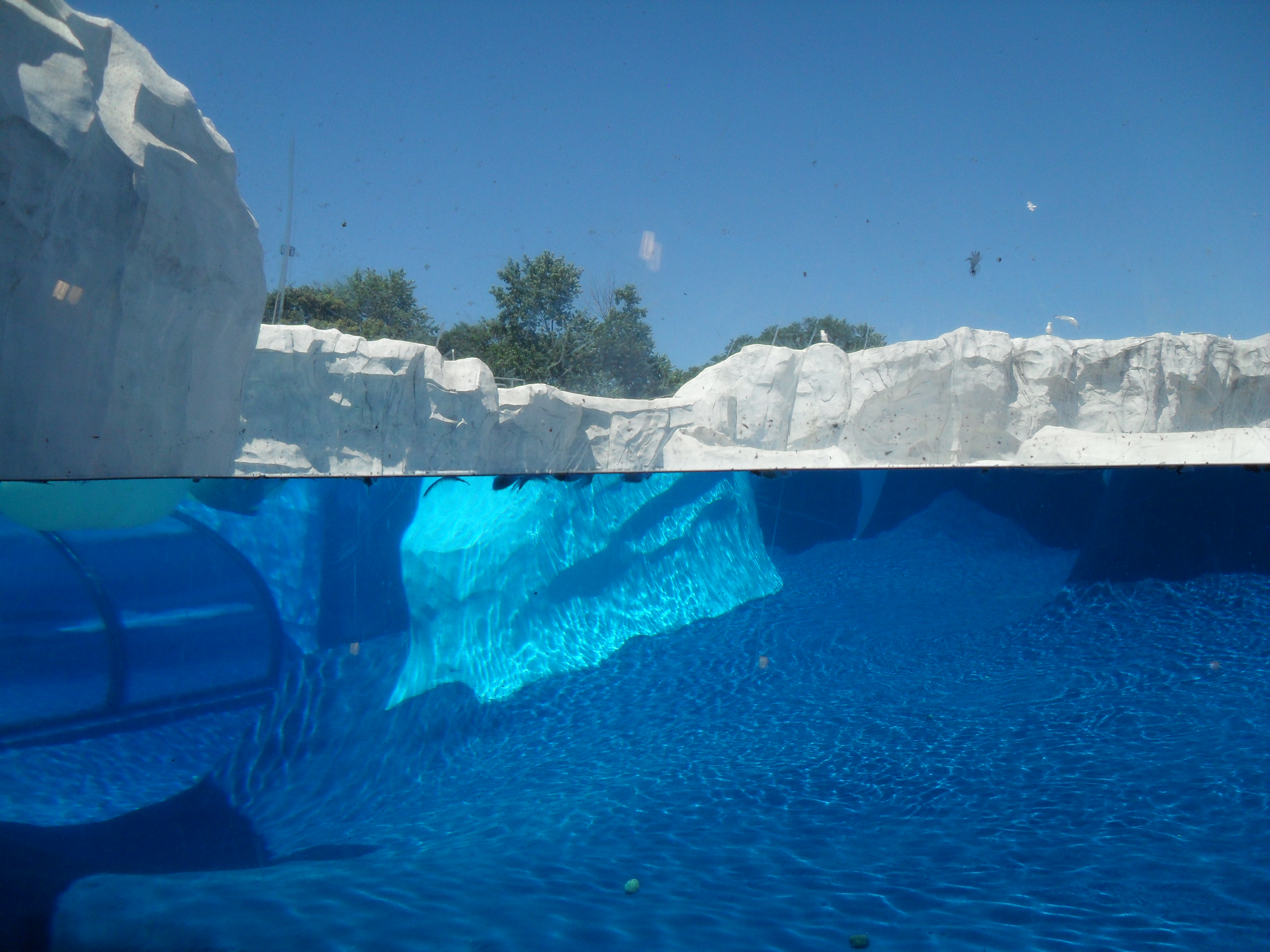 Underwater Iceberg Wallpaper - Underwater View Of Iceberg , HD Wallpaper & Backgrounds