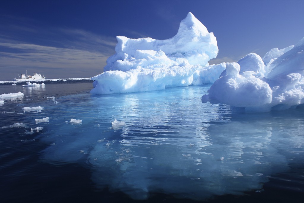 Iceberg Wallpapers Hd - Beluga Whale In Arctic , HD Wallpaper & Backgrounds