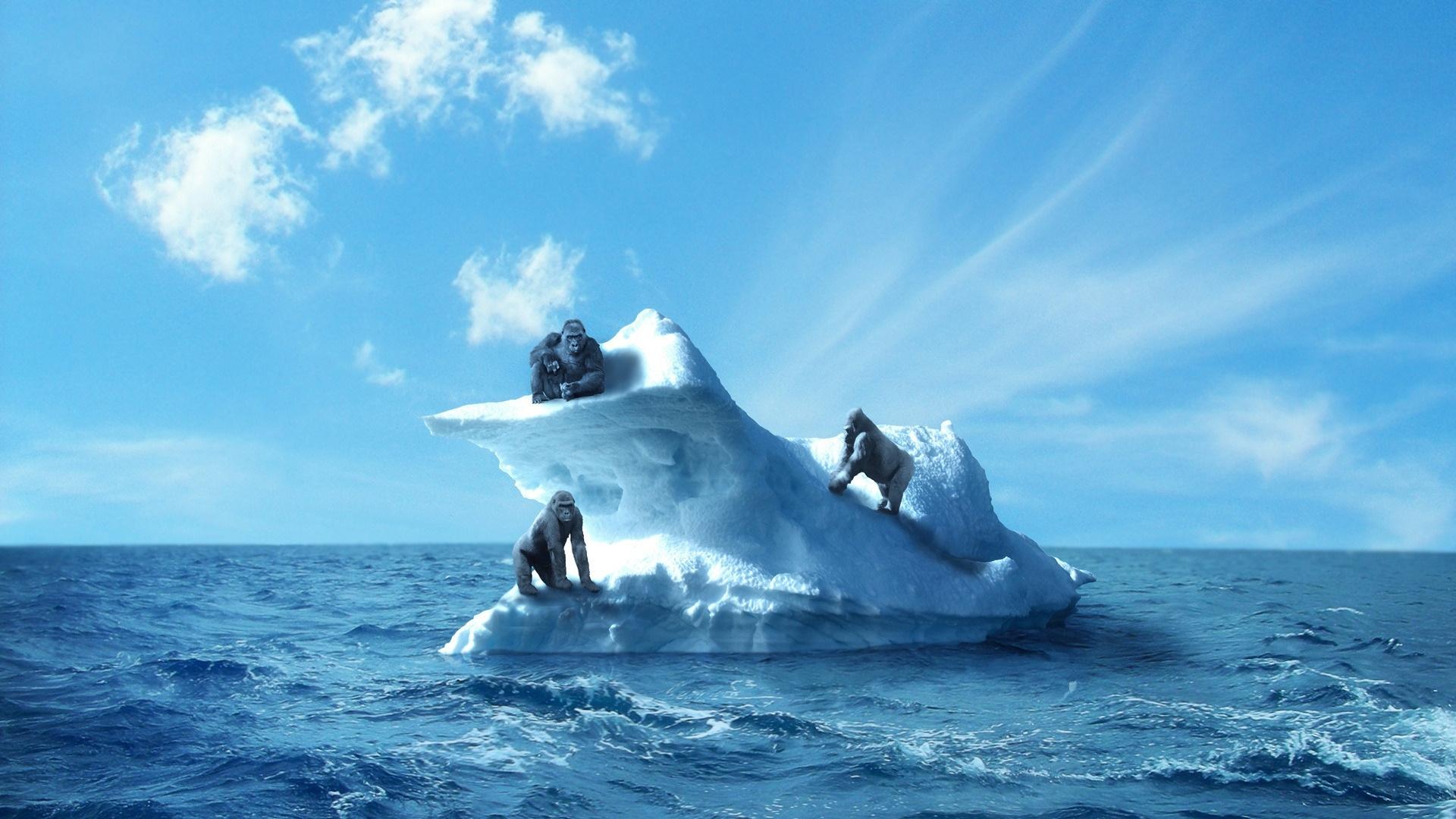 Back To 25 Iceberg Wallpapers Hd - Iceberg In The Middle Of The Ocean , HD Wallpaper & Backgrounds
