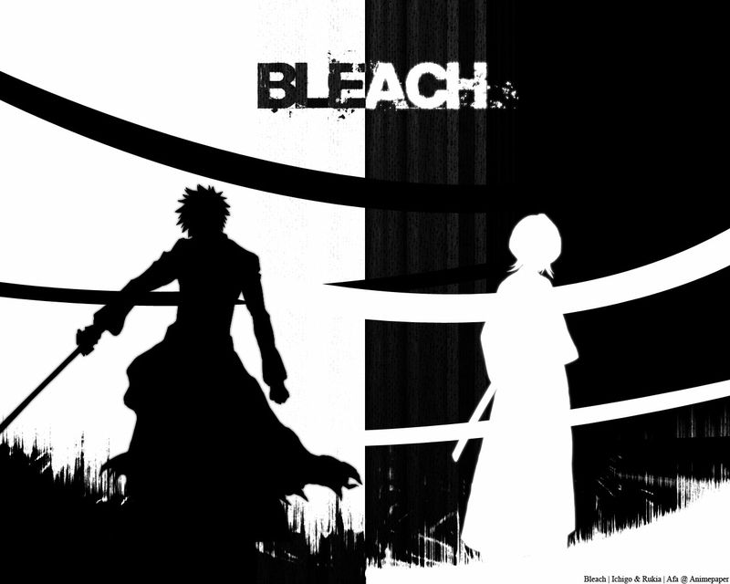 Bleach Ichigo Und Rukia - Bleach Black And White , HD Wallpaper & Backgrounds