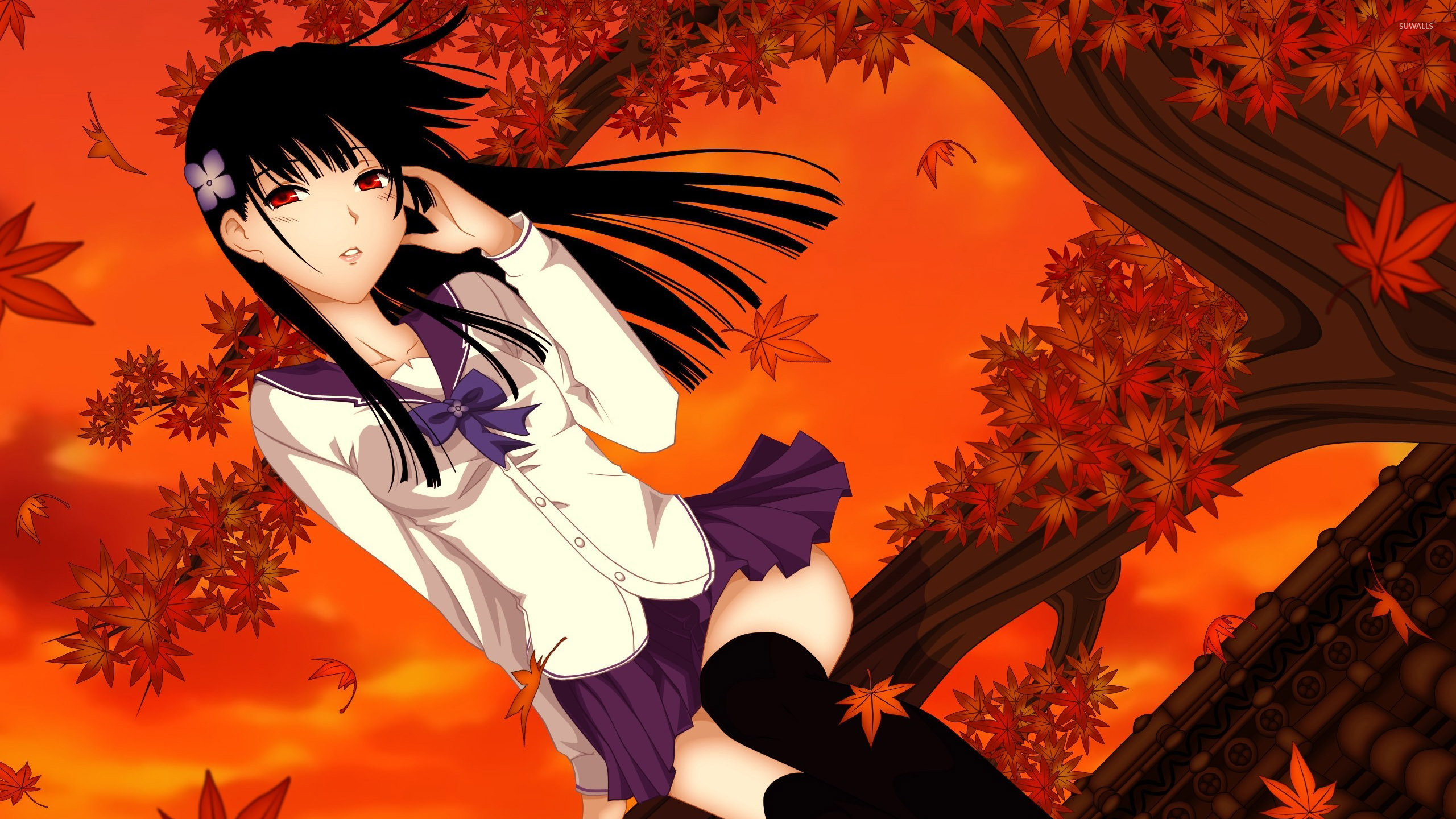 Sankarea Wallpaper - Sankarea Wallpaper Hd , HD Wallpaper & Backgrounds