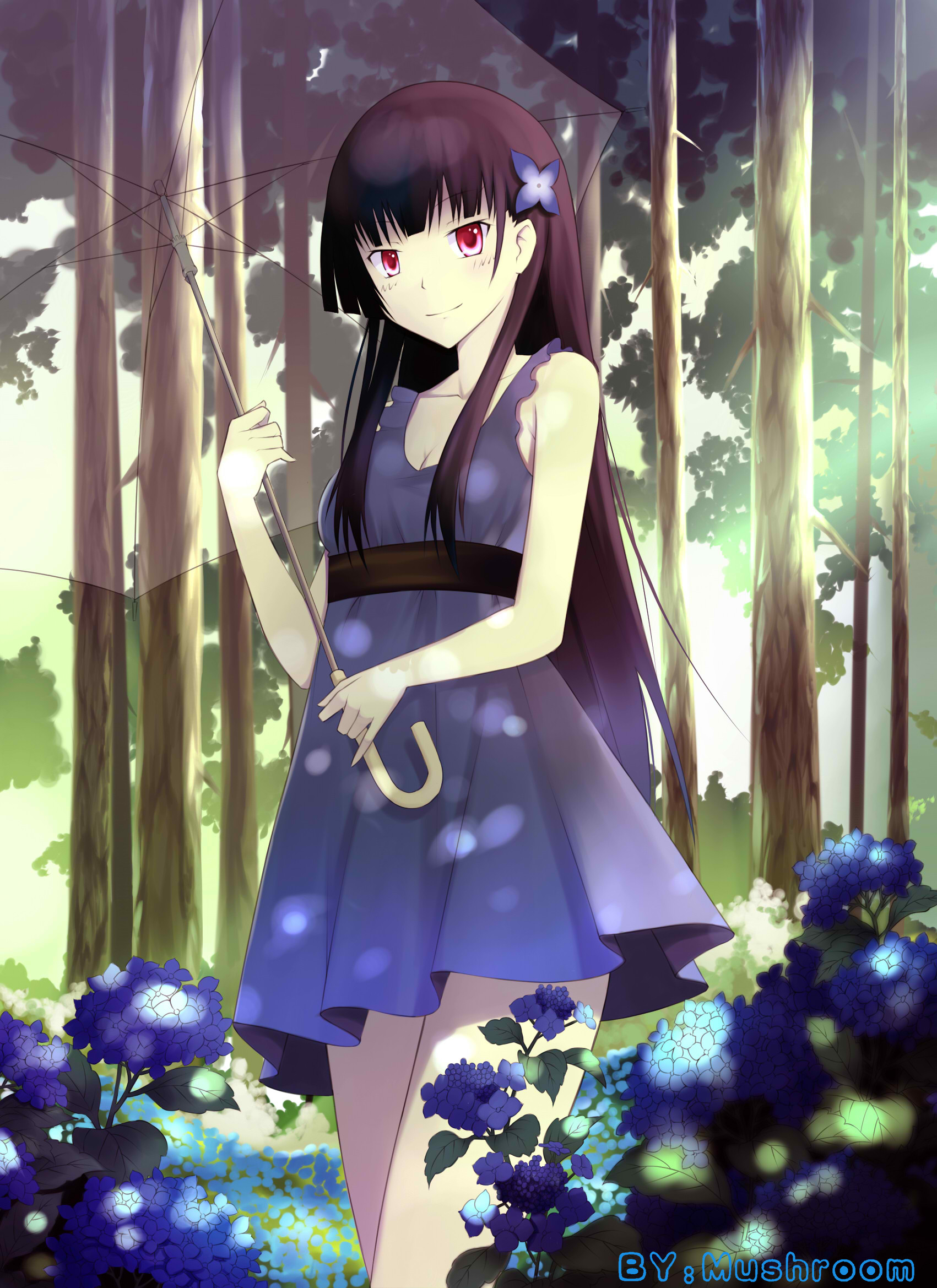 Anime, Mushroom , Sankarea, Sanka Rea, Mobile Wallpaper - Sankarea Rea , HD Wallpaper & Backgrounds