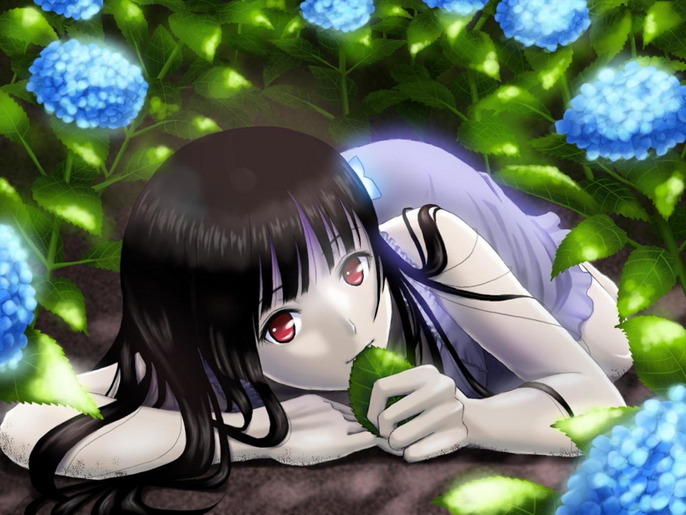 Sankarea Rea , HD Wallpaper & Backgrounds