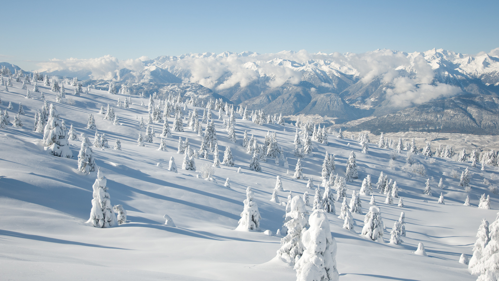 Manzara Duvar Kağıtları Hareketli Yeni Wallpaper Aråÿivi - Snow Covered Mountain Trees , HD Wallpaper & Backgrounds