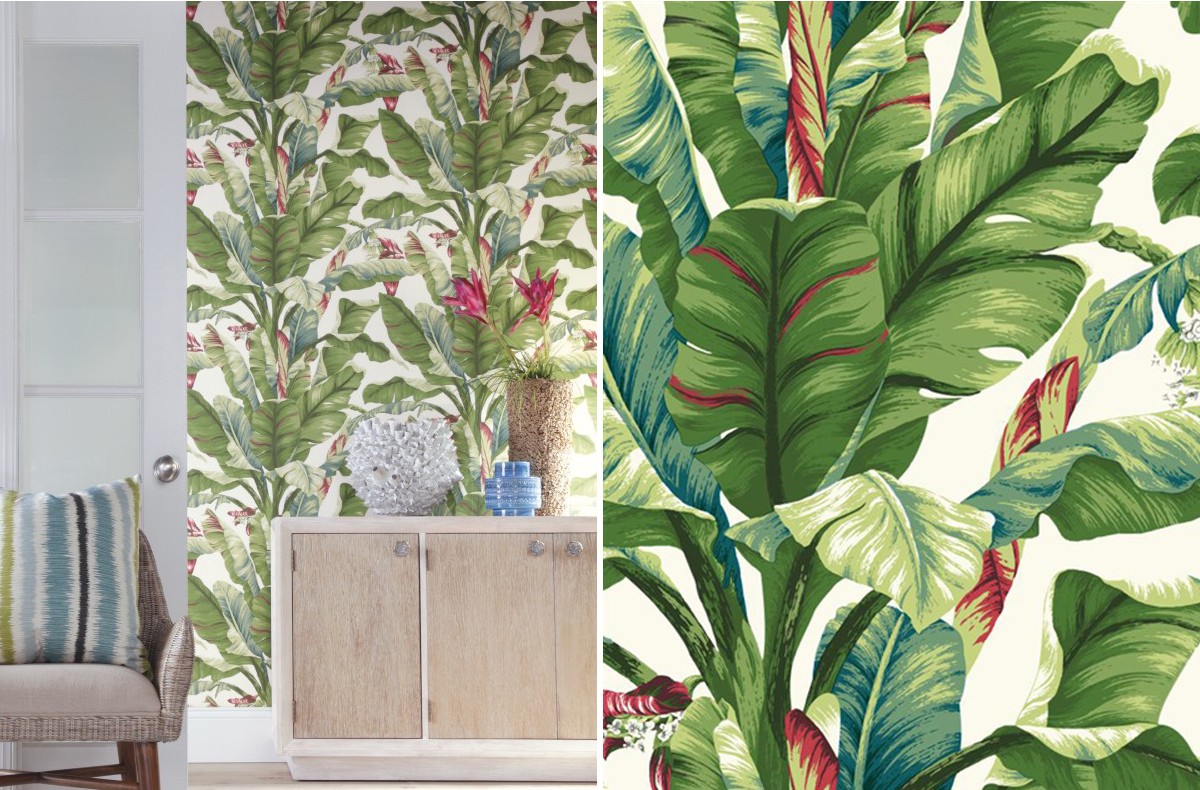Interior Design Company - Ashford Tropics Banana Leaf , HD Wallpaper & Backgrounds