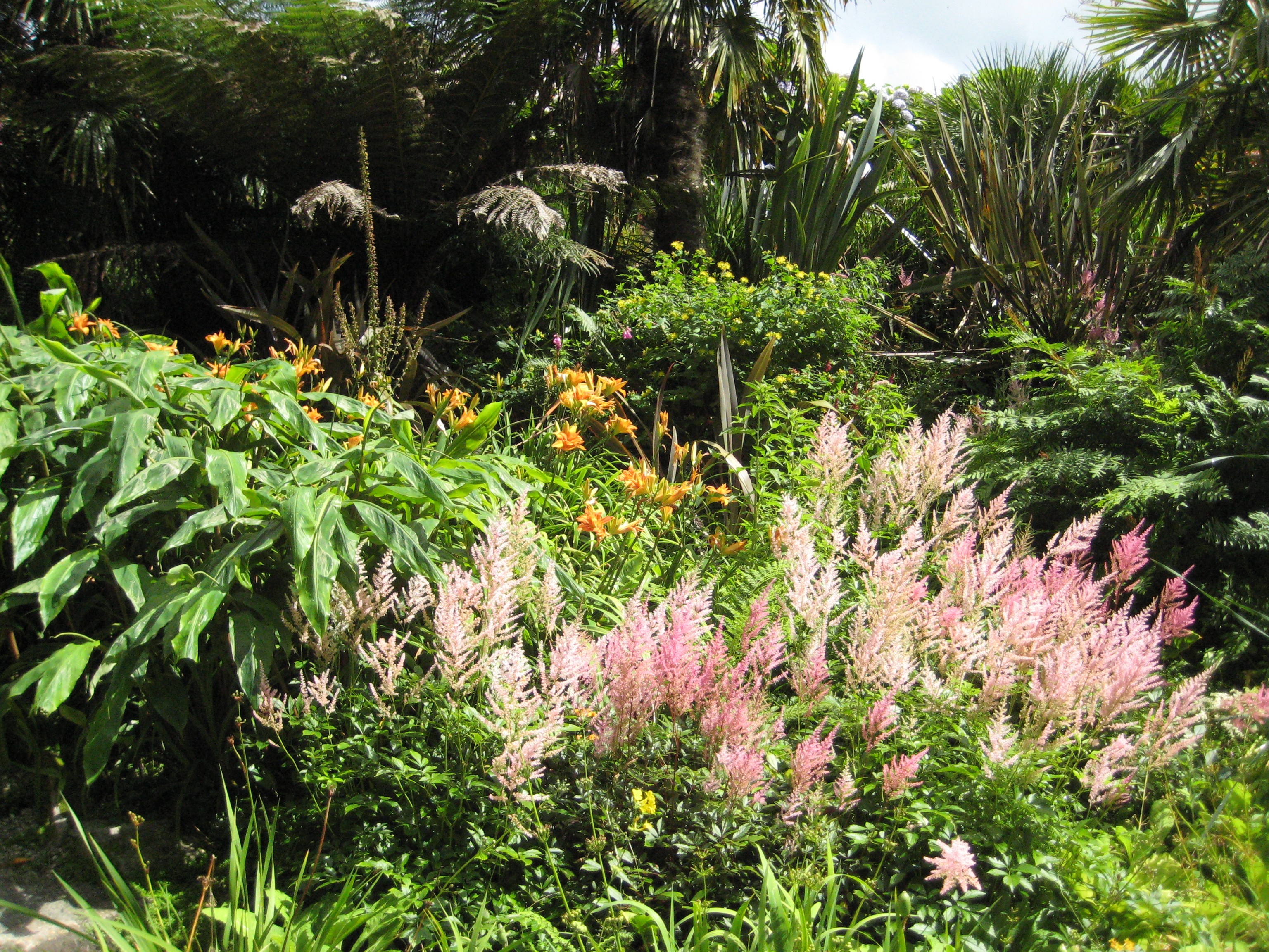 Lillies In Tropical Gardens Trebah Cornwall England - Tropical Gardens , HD Wallpaper & Backgrounds