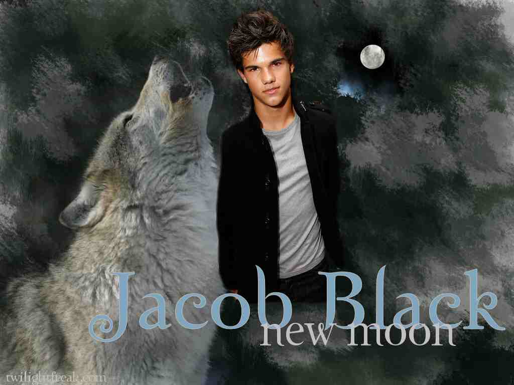Serigala Di Film Twilight , HD Wallpaper & Backgrounds