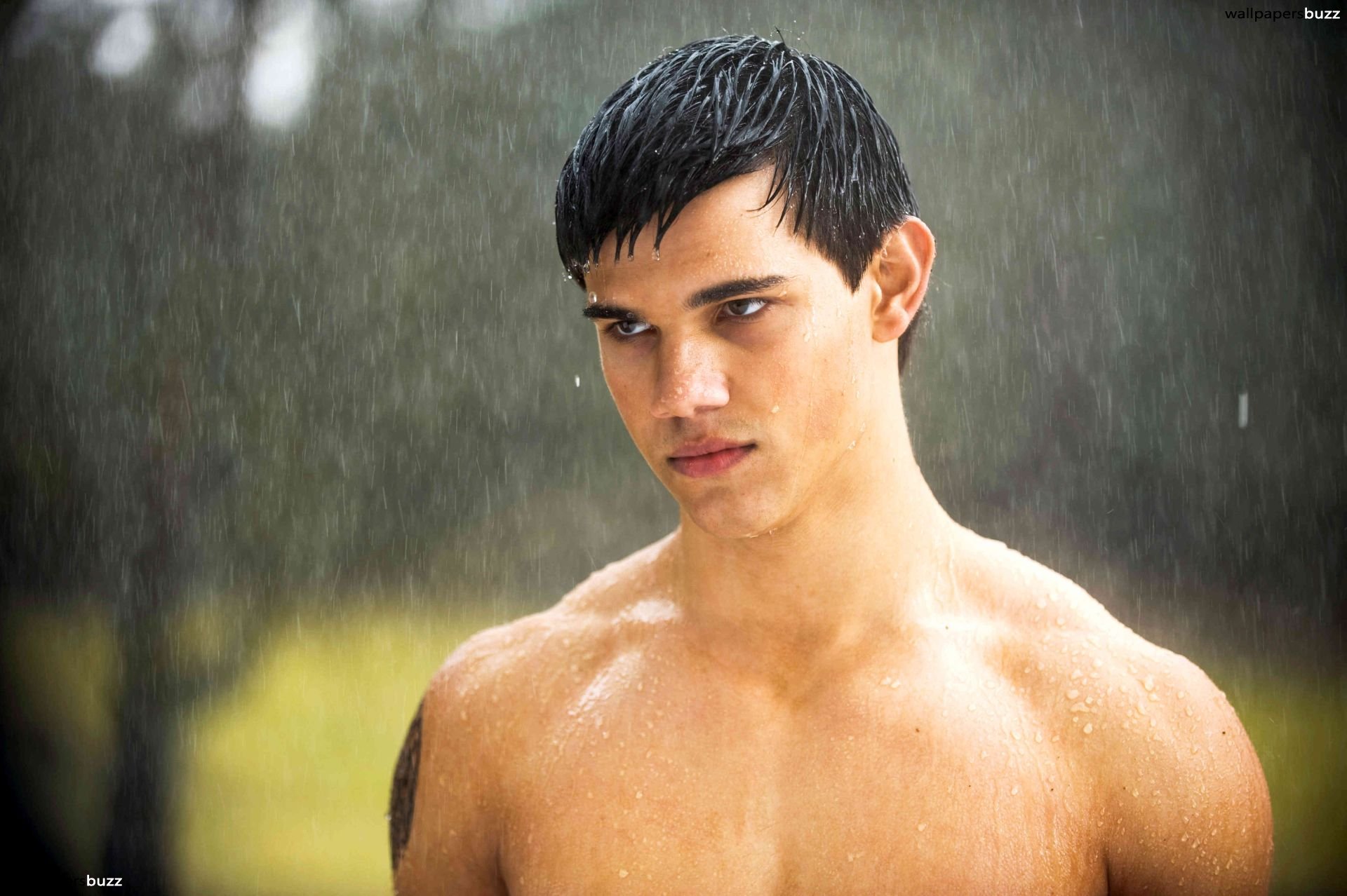 Twilight Jacob Black Wallpaper - Jacob Black , HD Wallpaper & Backgrounds