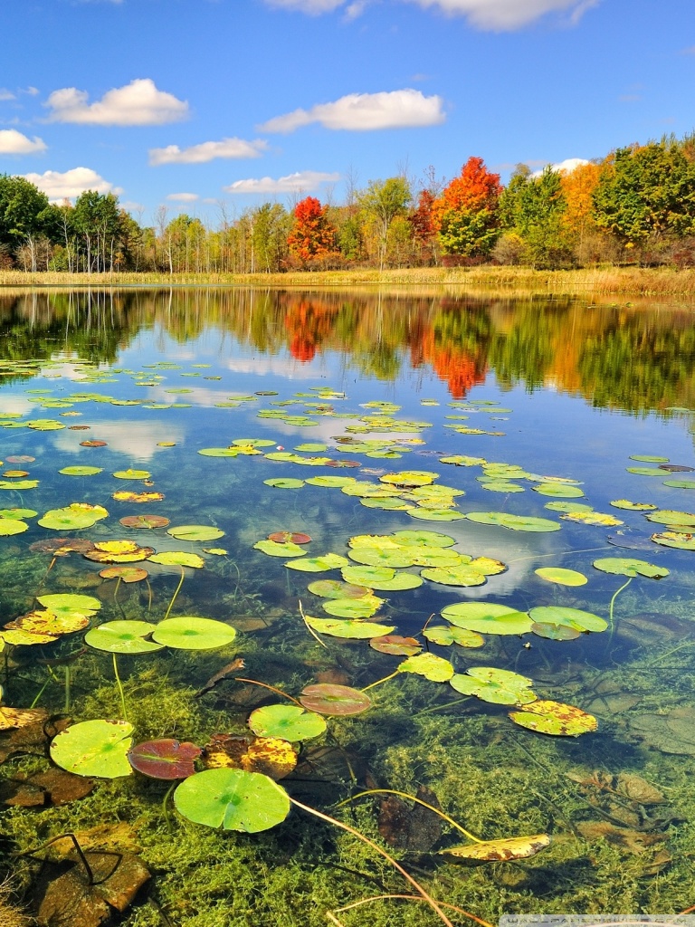 Beautiful Scenery Wallpapers For Mobile Iphone Wallpaper Beautiful Scenery Wallpapers For Mobile Iphone Wallpaper