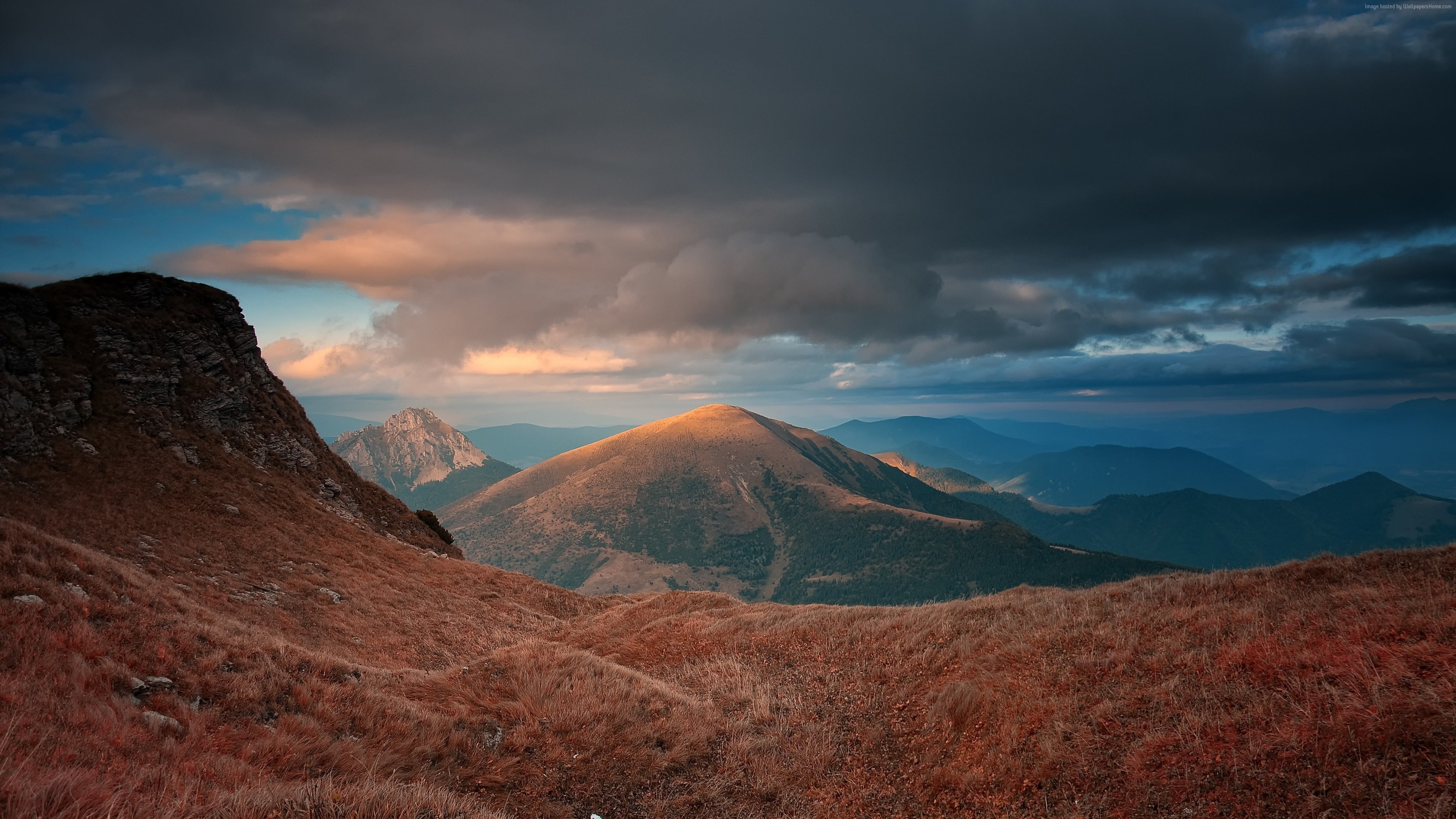 Wallpaper Mountains, Landscape, Hills, Beautiful Scenery - Carpathian Mountains 4k , HD Wallpaper & Backgrounds