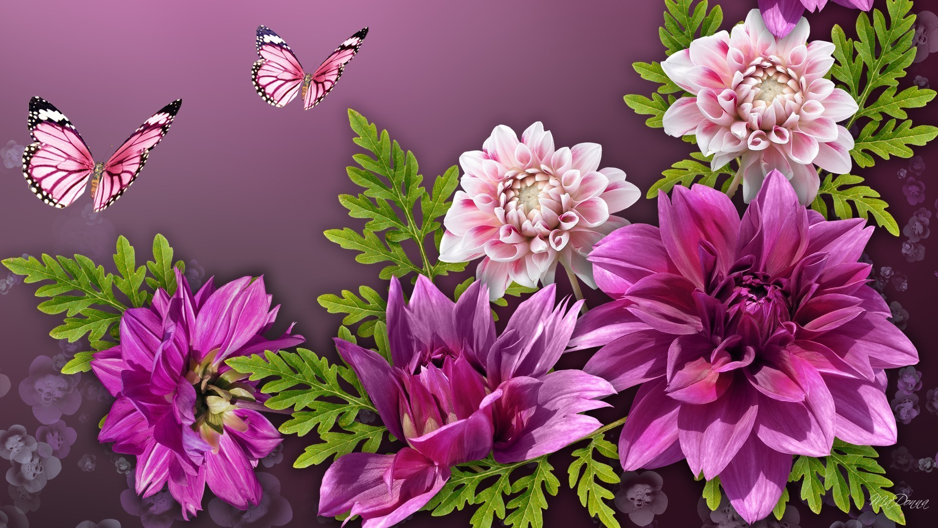 Jasmine Flower Wallpaper Pictures Wallpaper Flowerhdwallpaper - Pink Water Color Floral Butterfly , HD Wallpaper & Backgrounds