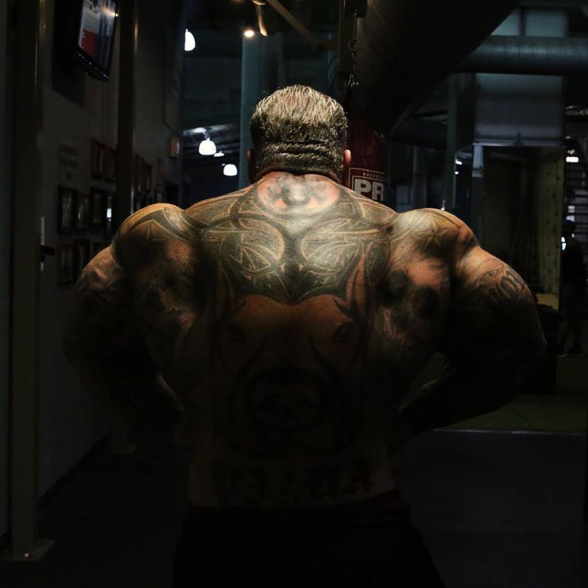 Search Box - - Whatever It Takes Rich Piana Quotes , HD Wallpaper & Backgrounds