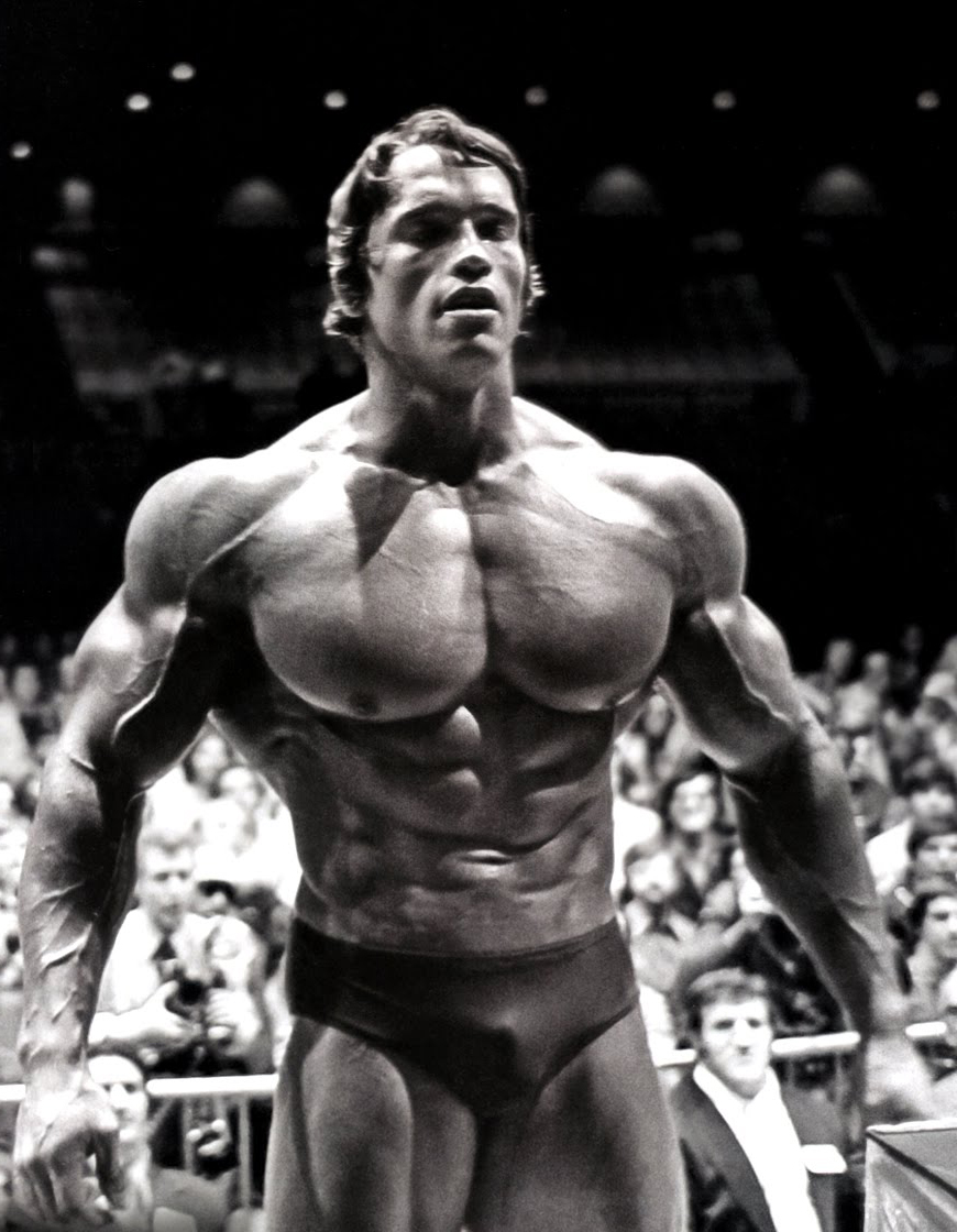 Arnold Schwarzenegger Posing On Stage - Arnold Schwarzenegger Prime Bodybuilding , HD Wallpaper & Backgrounds