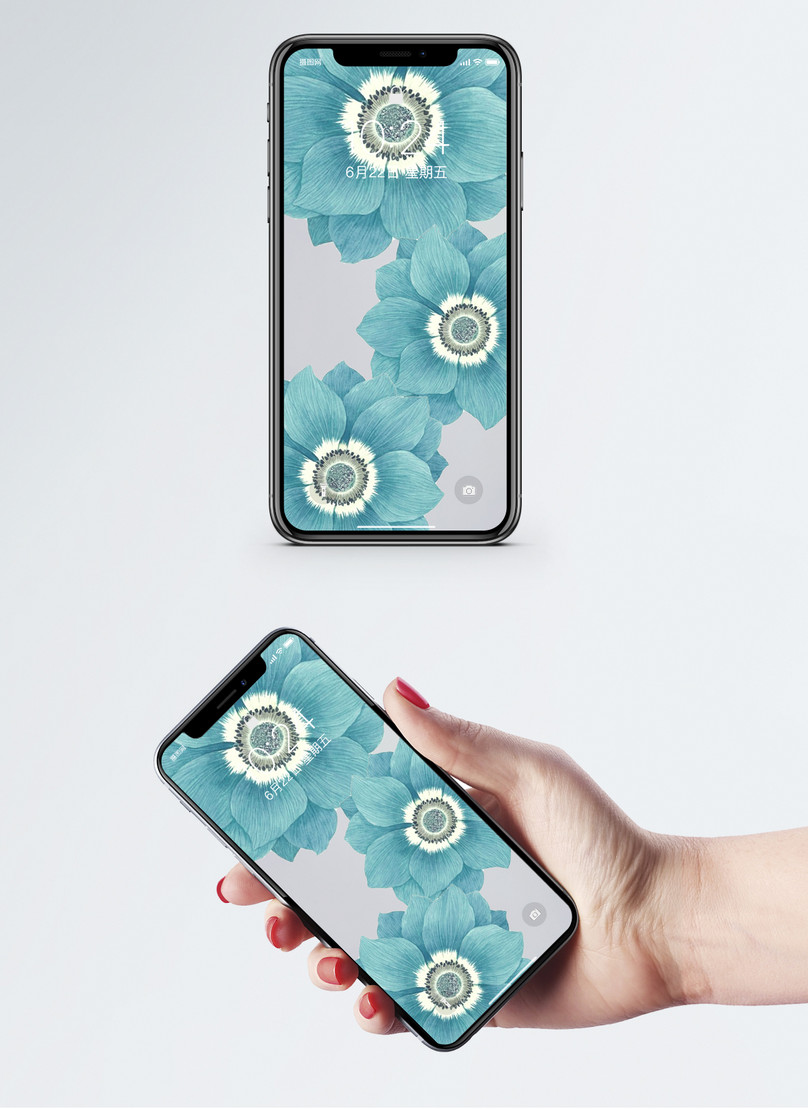 Flower Cellphone Wallpaper - Funny Backgrounds For Phone , HD Wallpaper & Backgrounds