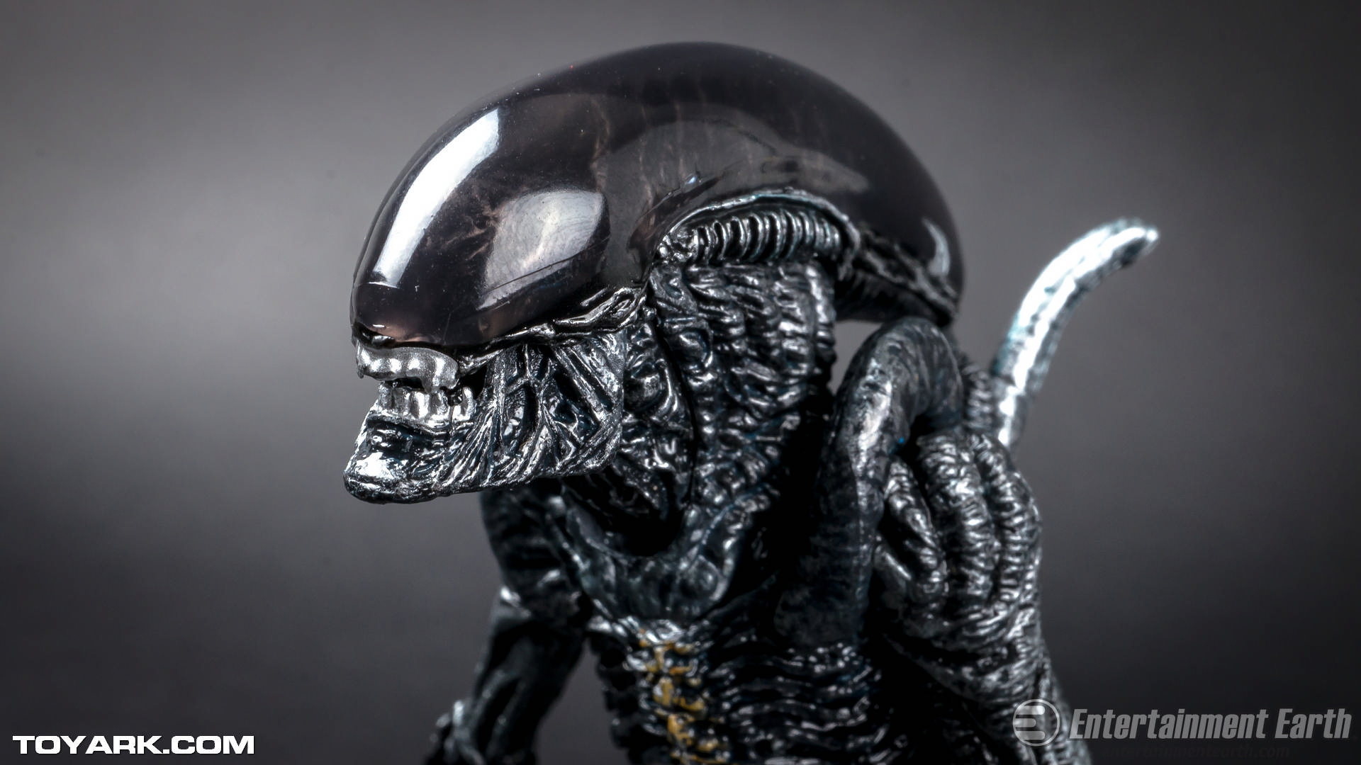 Alien - Xenomorph Alien Mortal Kombat , HD Wallpaper & Backgrounds