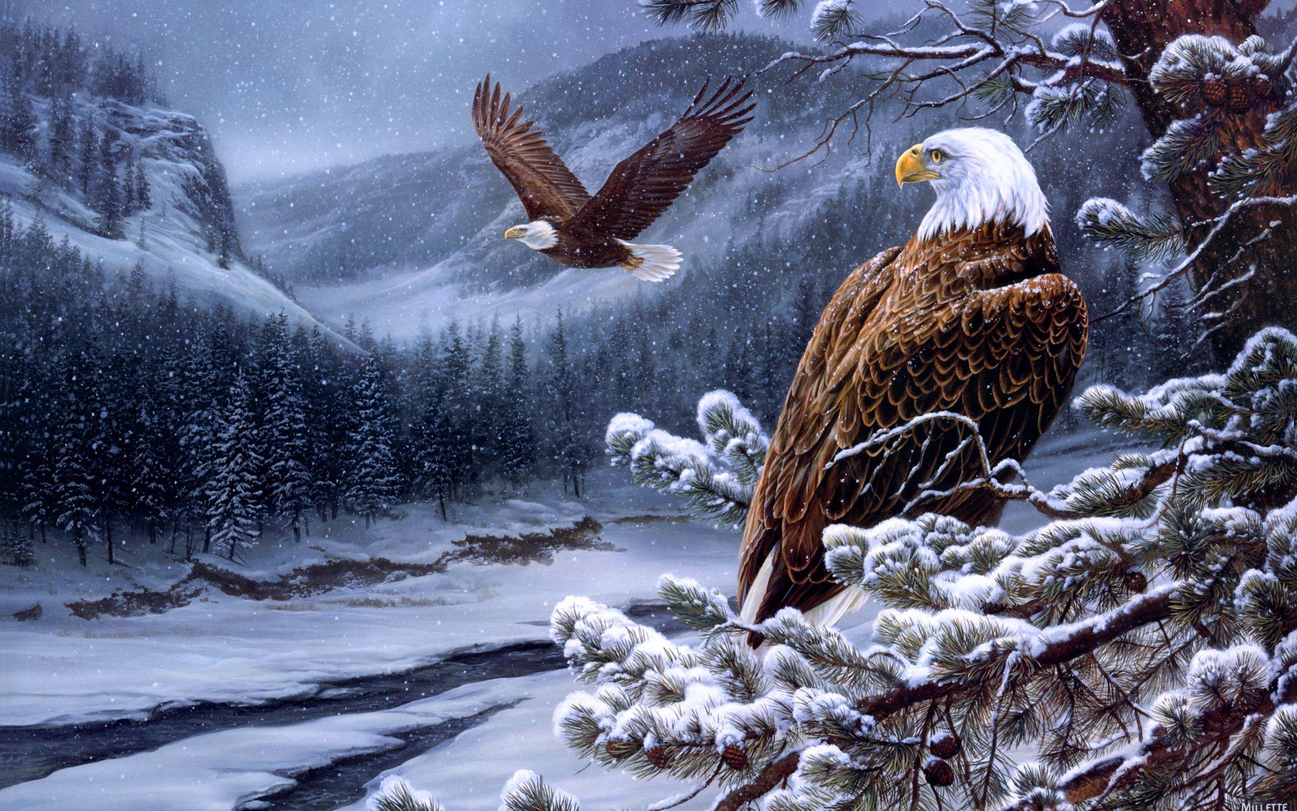 Eagle Wallpaper - Eagle Wallpaper Hd , HD Wallpaper & Backgrounds