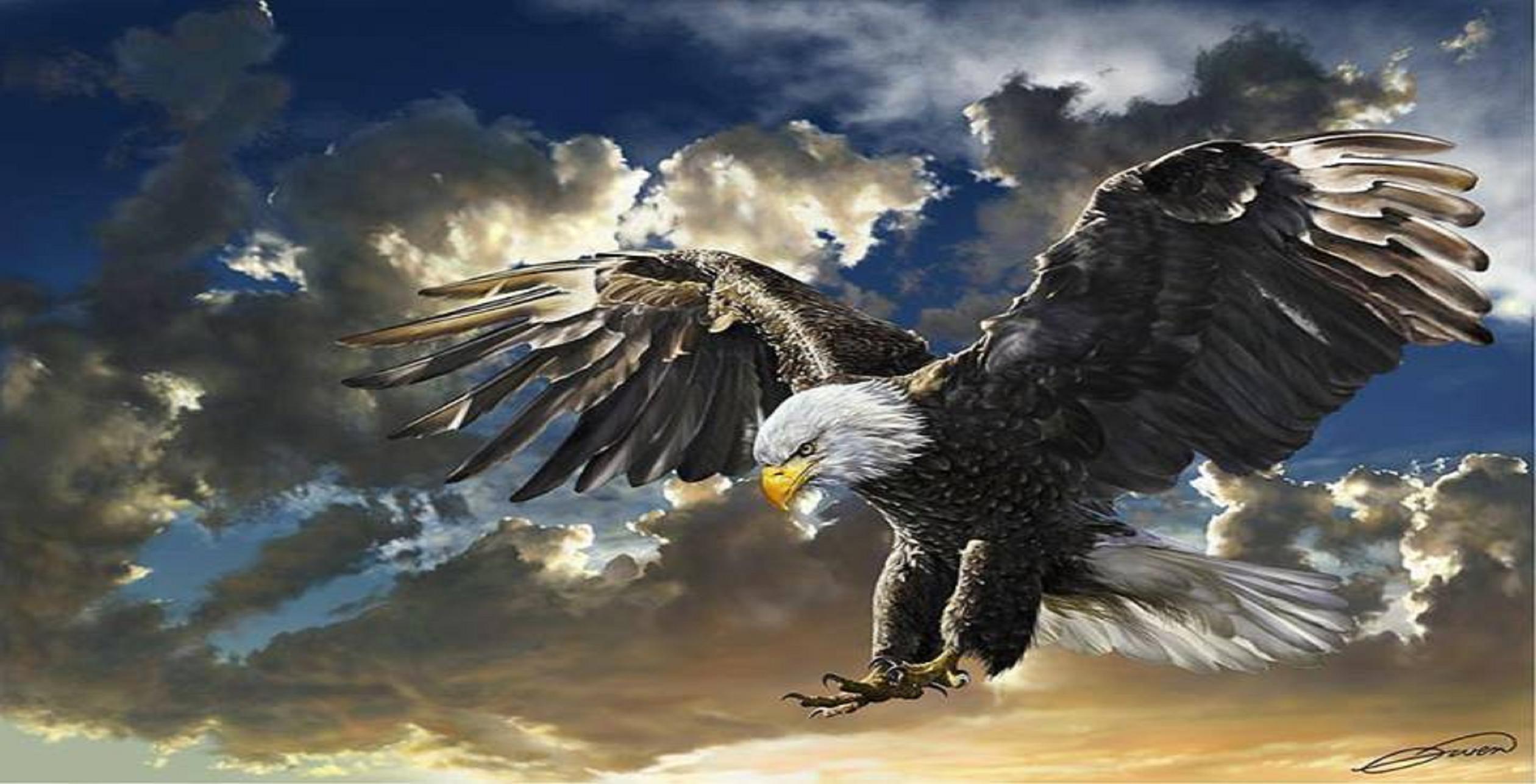 Eagle Wallpaper For Desktop - Bald Eagle Haliaeetus Leucocephalus , HD Wallpaper & Backgrounds