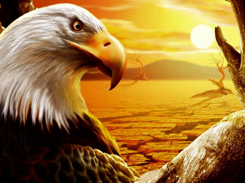 Strange Eagle Wallpaper - Eagle Pictures To Paint , HD Wallpaper & Backgrounds