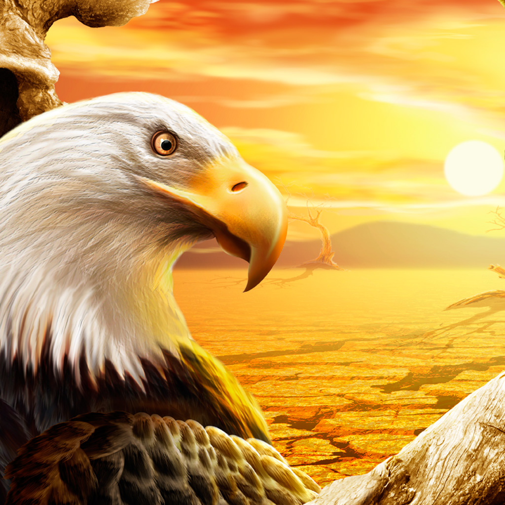 Direct Link On The Wallpaper Image Download - Eagle Bird In Desert , HD Wallpaper & Backgrounds