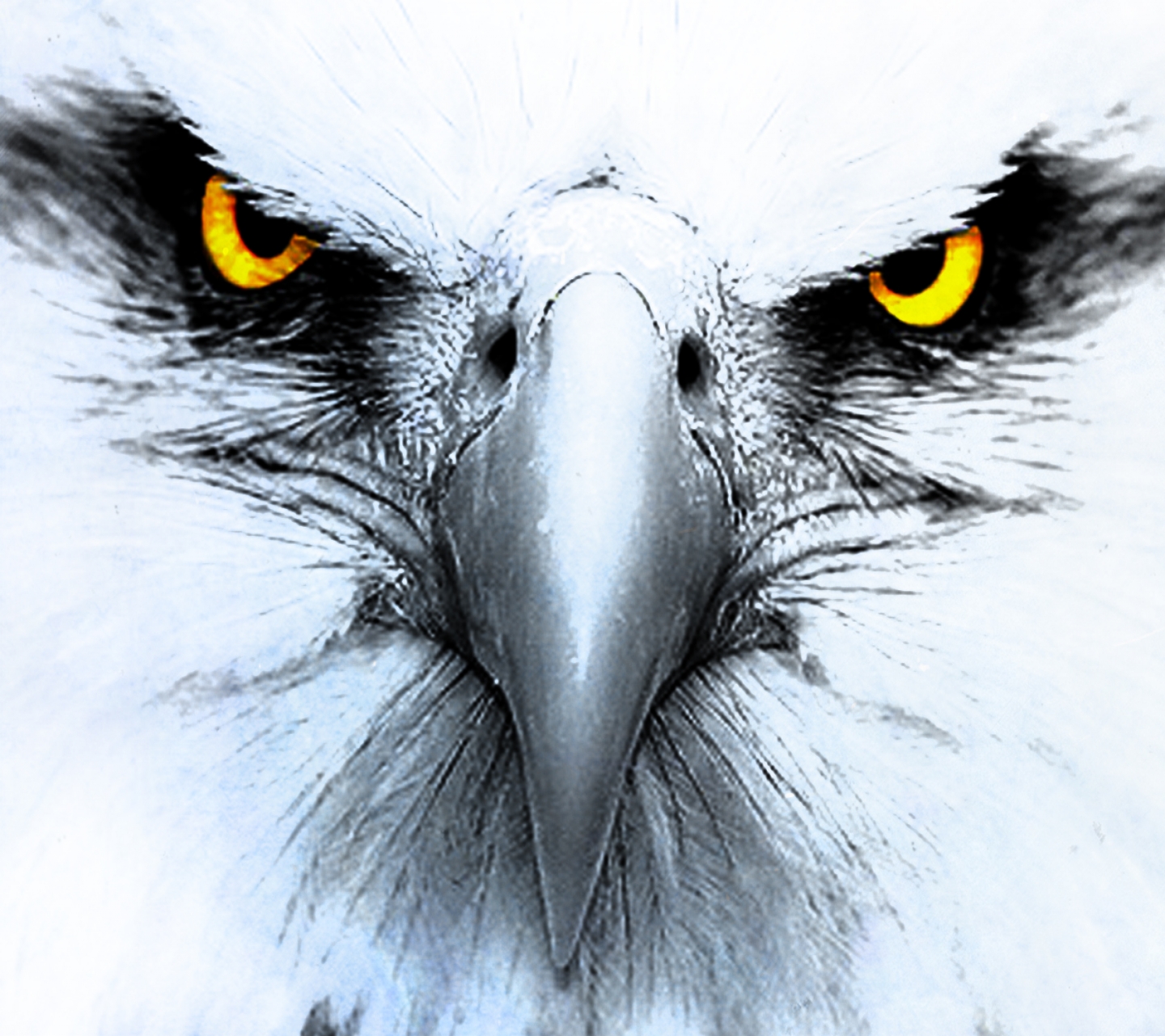 Animal / Eagle Mobile Wallpaper - Eagle Eye Tattoo Designs , HD Wallpaper & Backgrounds