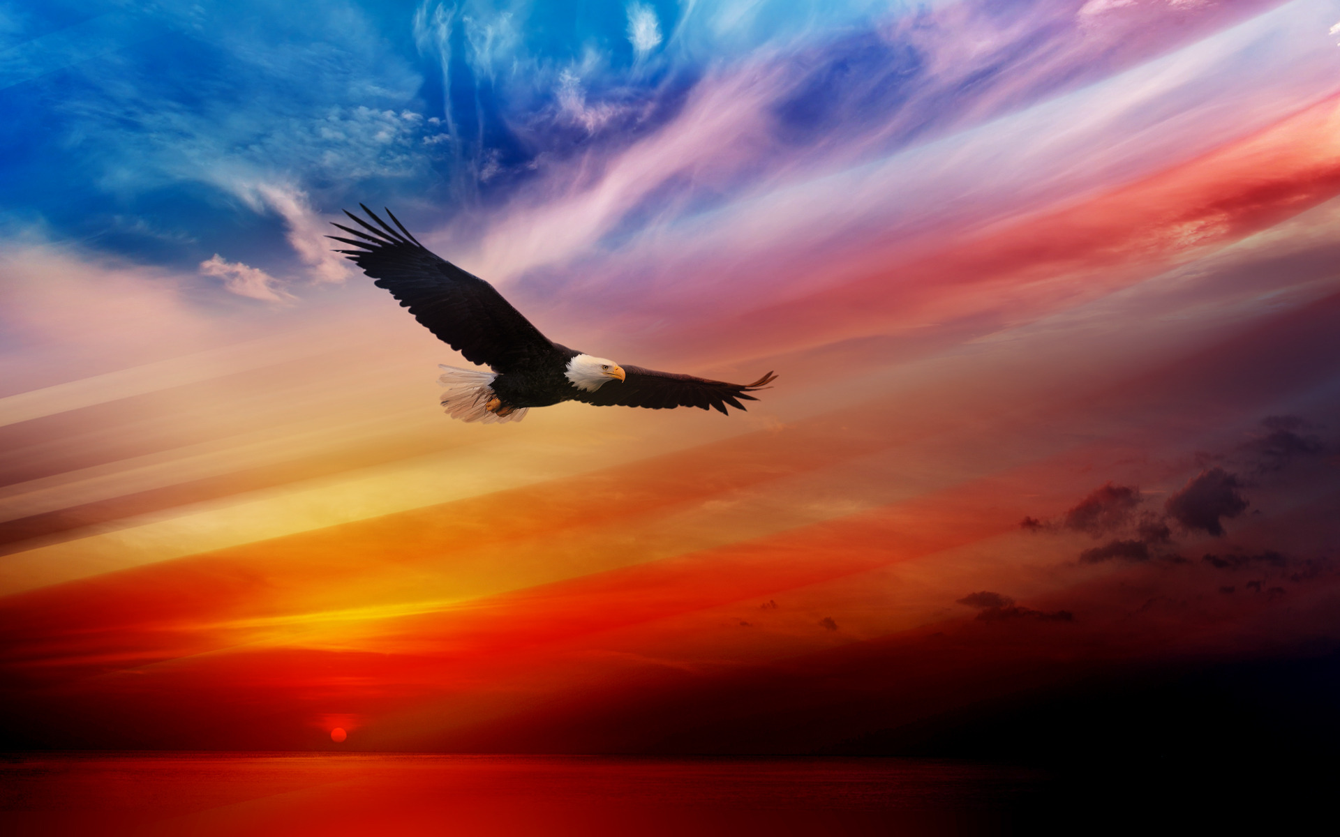 American Eagle Wallpaper Free Download - Usa Eagle Wallpaper Hd , HD Wallpaper & Backgrounds