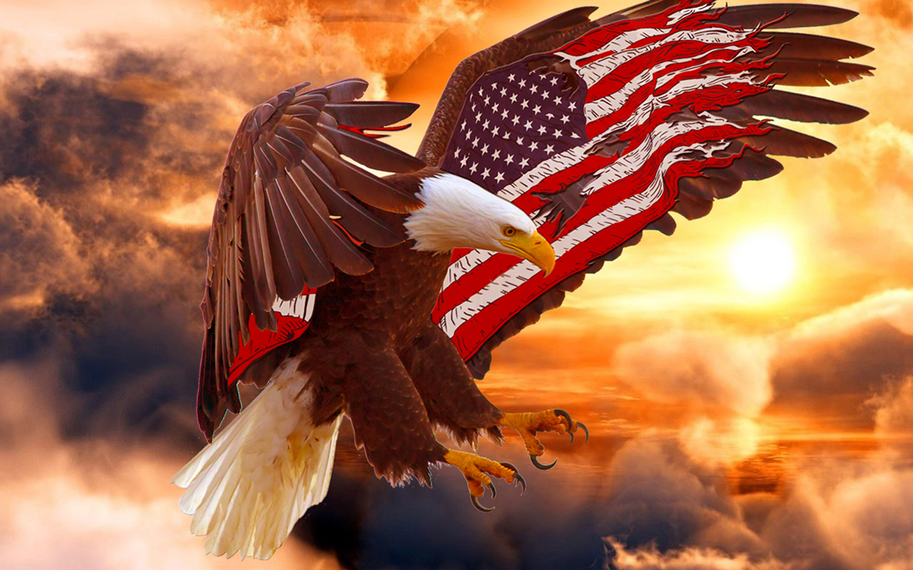 Bald Eagle Wallpaper - American Flag Bald Eagle , HD Wallpaper & Backgrounds