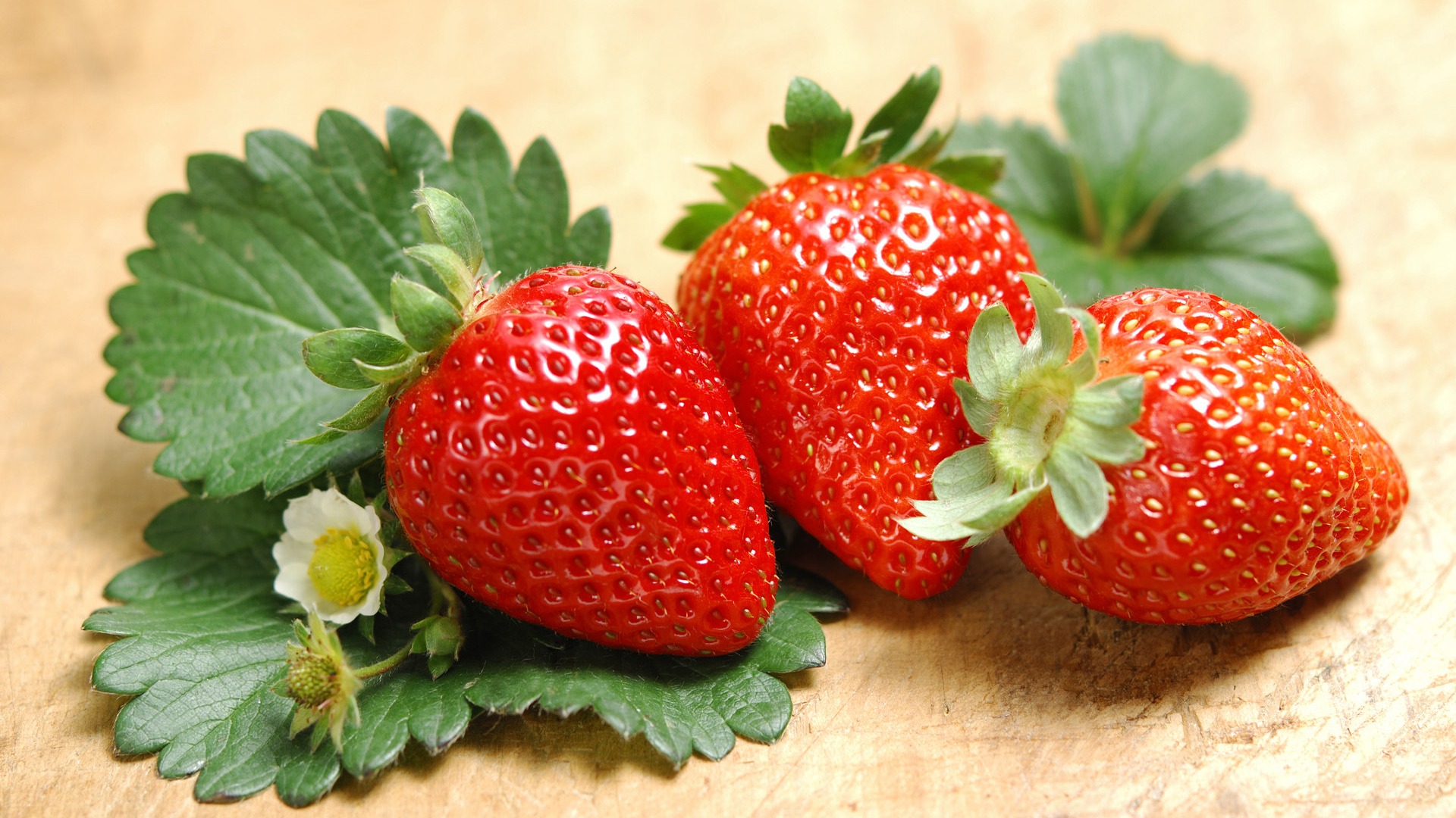 Strawberry Fruit Wallpaper , HD Wallpaper & Backgrounds
