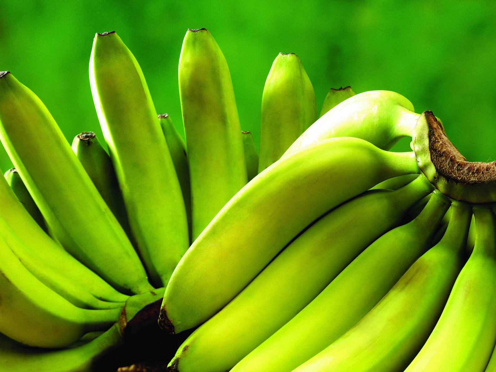 Banana Green Wallpaper Fruit Wallpaper - Banana Fruit , HD Wallpaper & Backgrounds