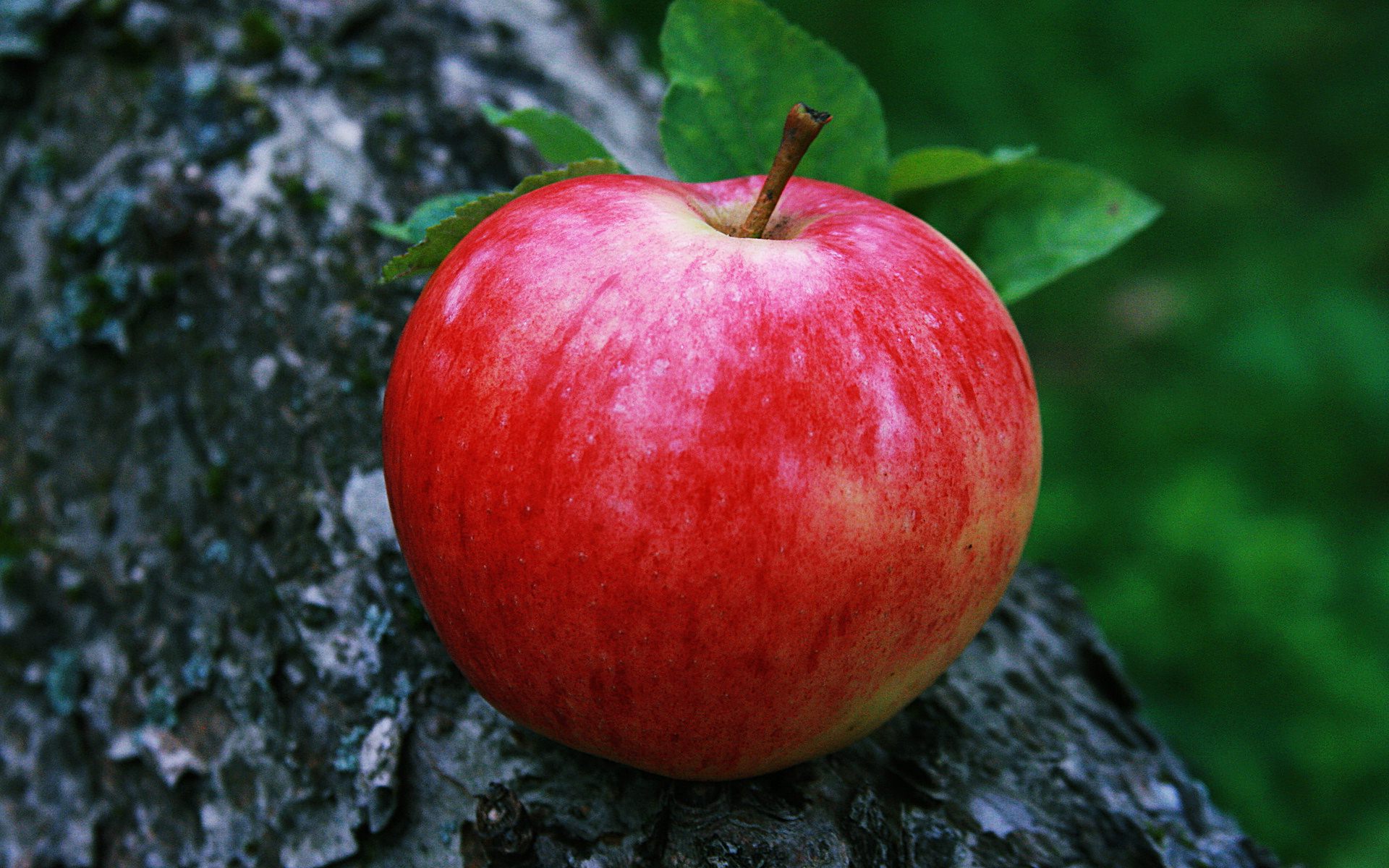 Desktop Red Apple Fruitss Wallpapers Download - Apple Fruit Image Hd , HD Wallpaper & Backgrounds