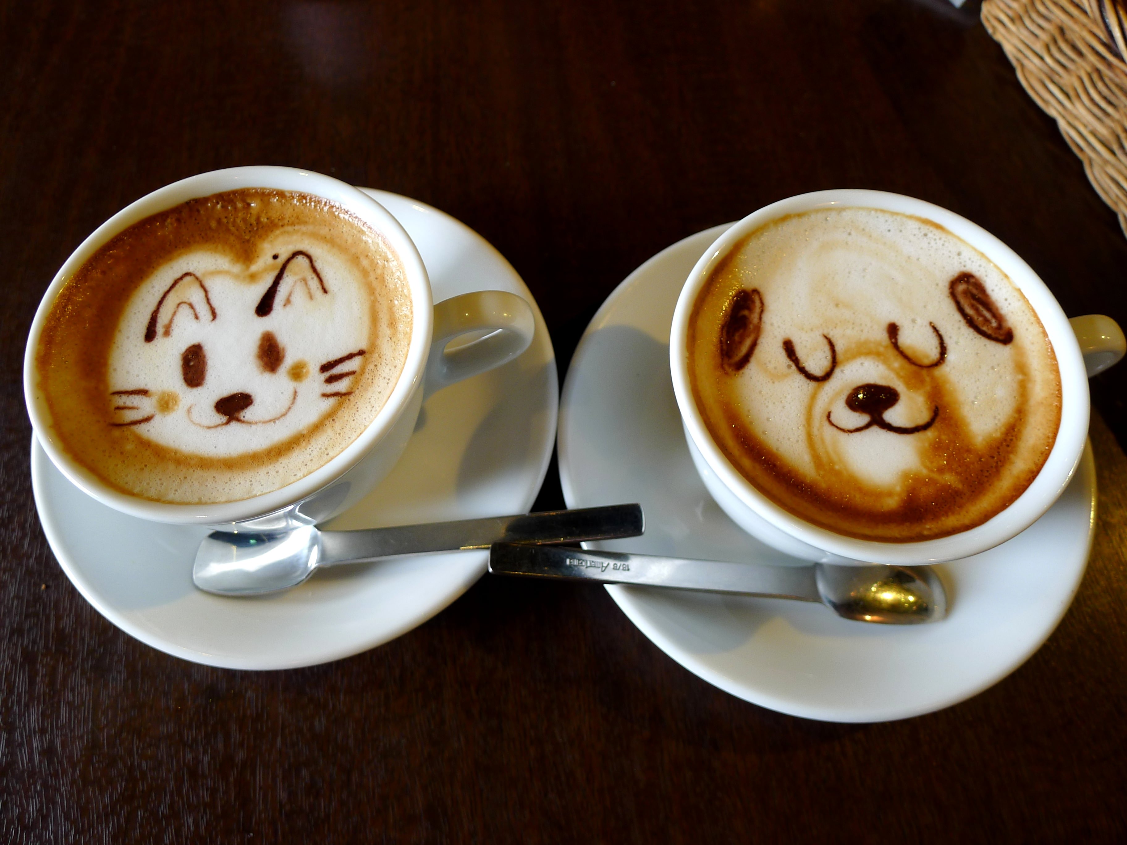 Coffee Wallpaper - Dog Face On Coffee , HD Wallpaper & Backgrounds