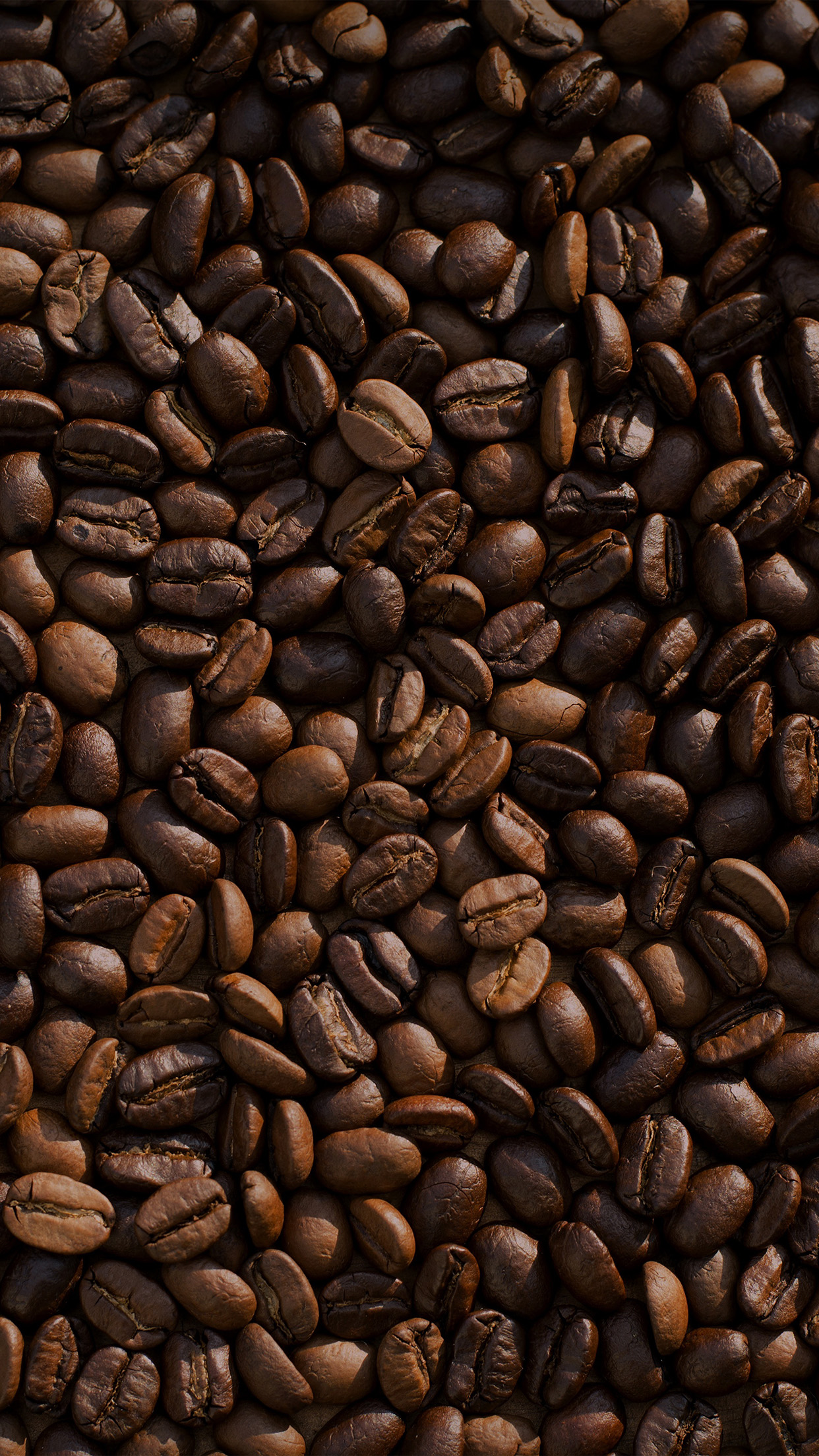 Iphone 6 Plus - Iphone 8 Plus Wallpaper Coffee , HD Wallpaper & Backgrounds