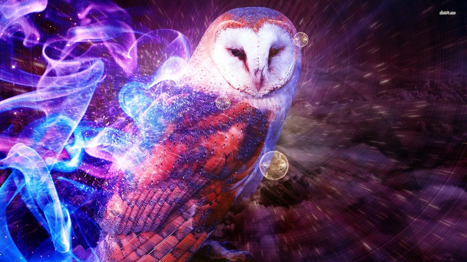 Owl Wallpaper - Fantasy Colorful Owl Art , HD Wallpaper & Backgrounds