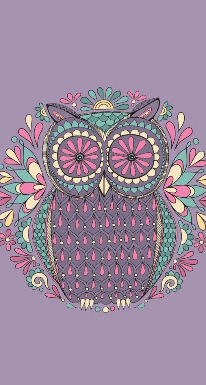 Colorful Cartoon Owl Wallpapers Free Is 4k Wallpaper - Cute Wallpaper Owl , HD Wallpaper & Backgrounds