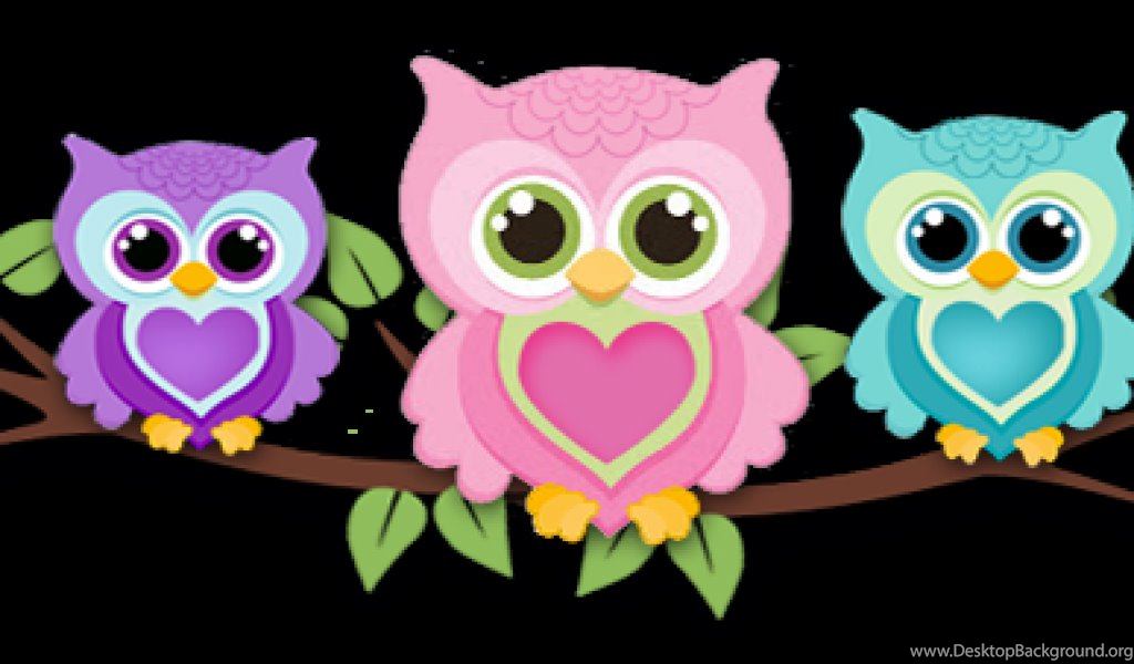 Cute Owl Wallpaper - Imagenes De Buho Caricatura , HD Wallpaper & Backgrounds