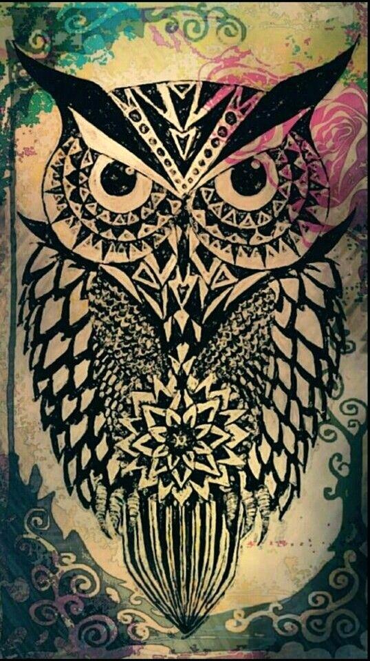 Owl Wallpaper Kats Junk Pinterest Owl Wallpaper Wallpaper - Athena Symbol Owl , HD Wallpaper & Backgrounds