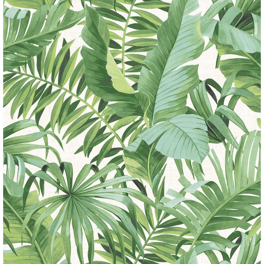 Alfresco Green Palm Leaf Wallpaper 2744-24136 - Palm Leaf Wallpaper Free , HD Wallpaper & Backgrounds