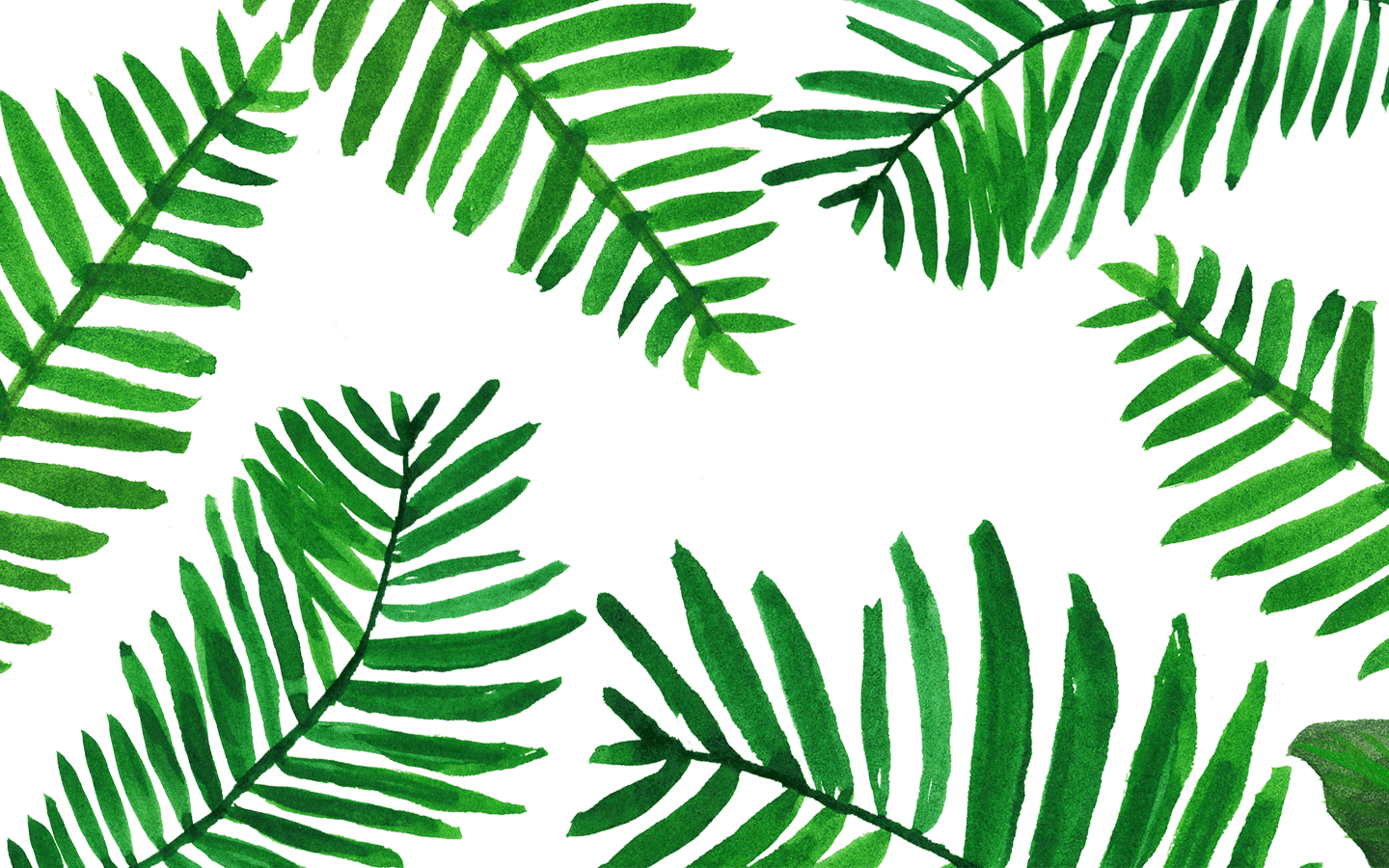 Palm Leaves Wallpaper From Www - Palm Leaves Background Desktop , HD Wallpaper & Backgrounds