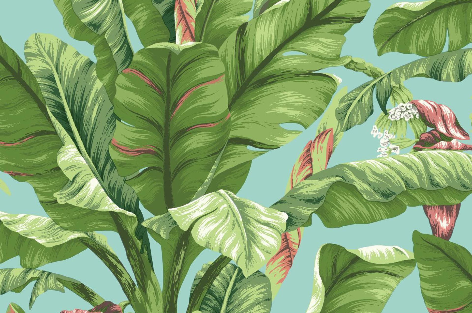 Banana Leaf Wallpaper - Desktop Backgrounds Tropical Leaf , HD Wallpaper & Backgrounds