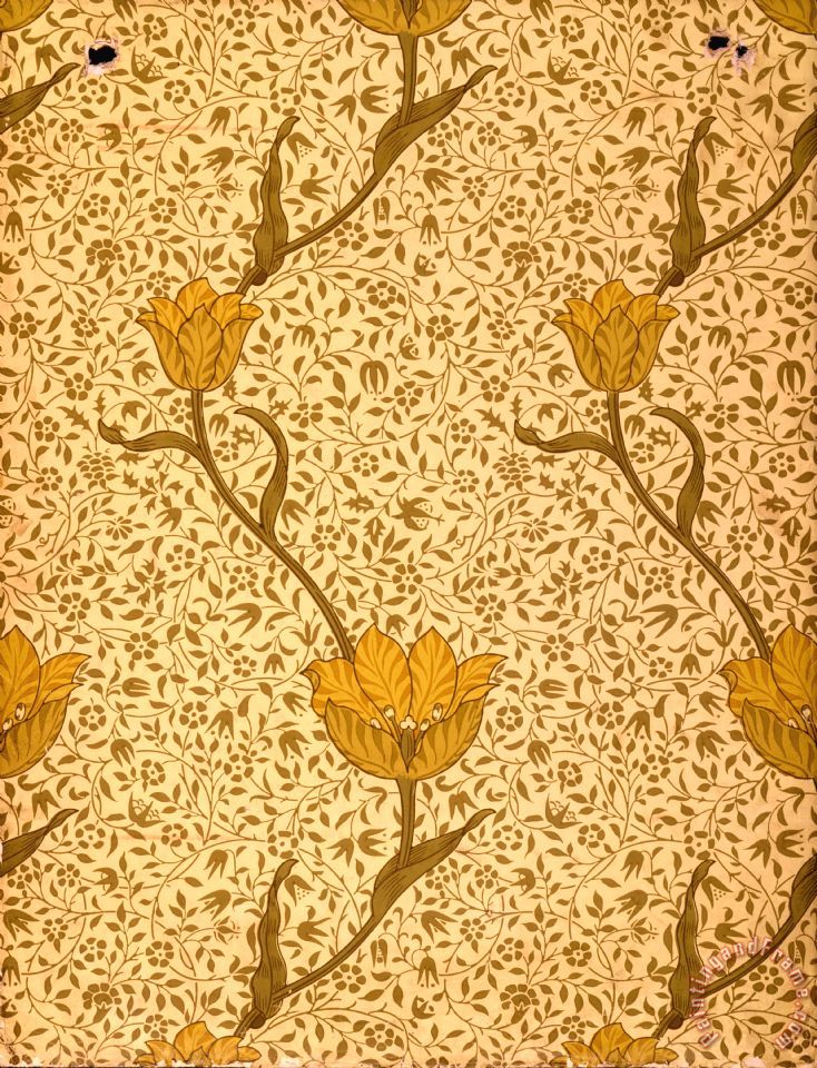 Garden Tulip Wallpaper Design Painting - William Morris Design , HD Wallpaper & Backgrounds